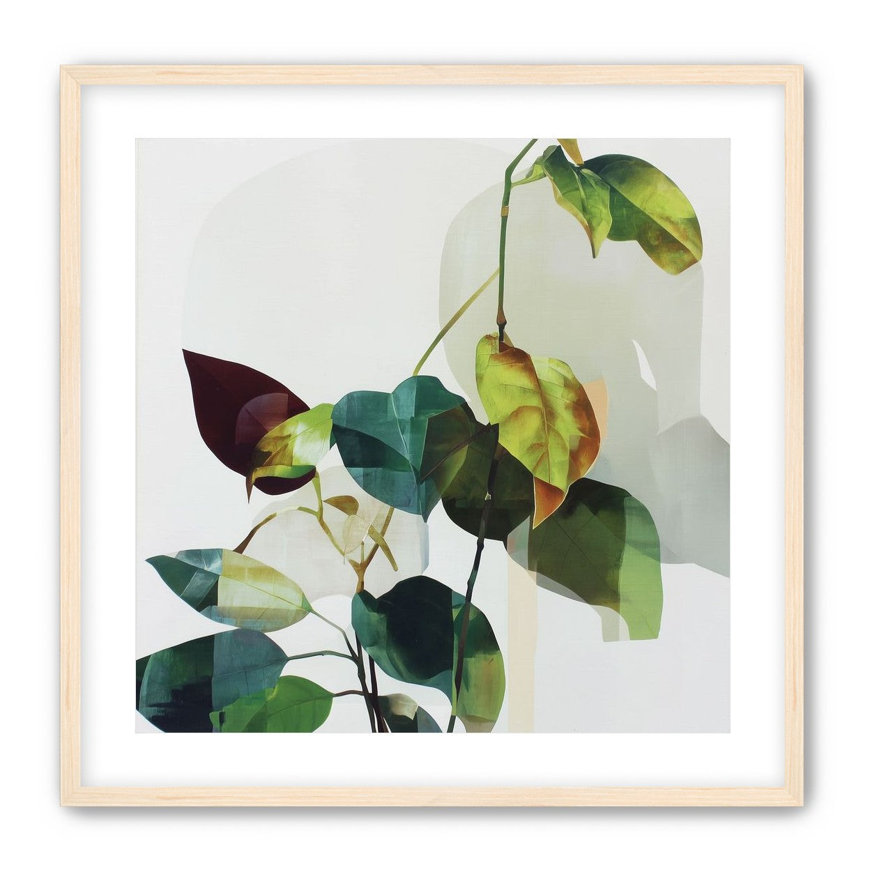 Leaves within pale shadows