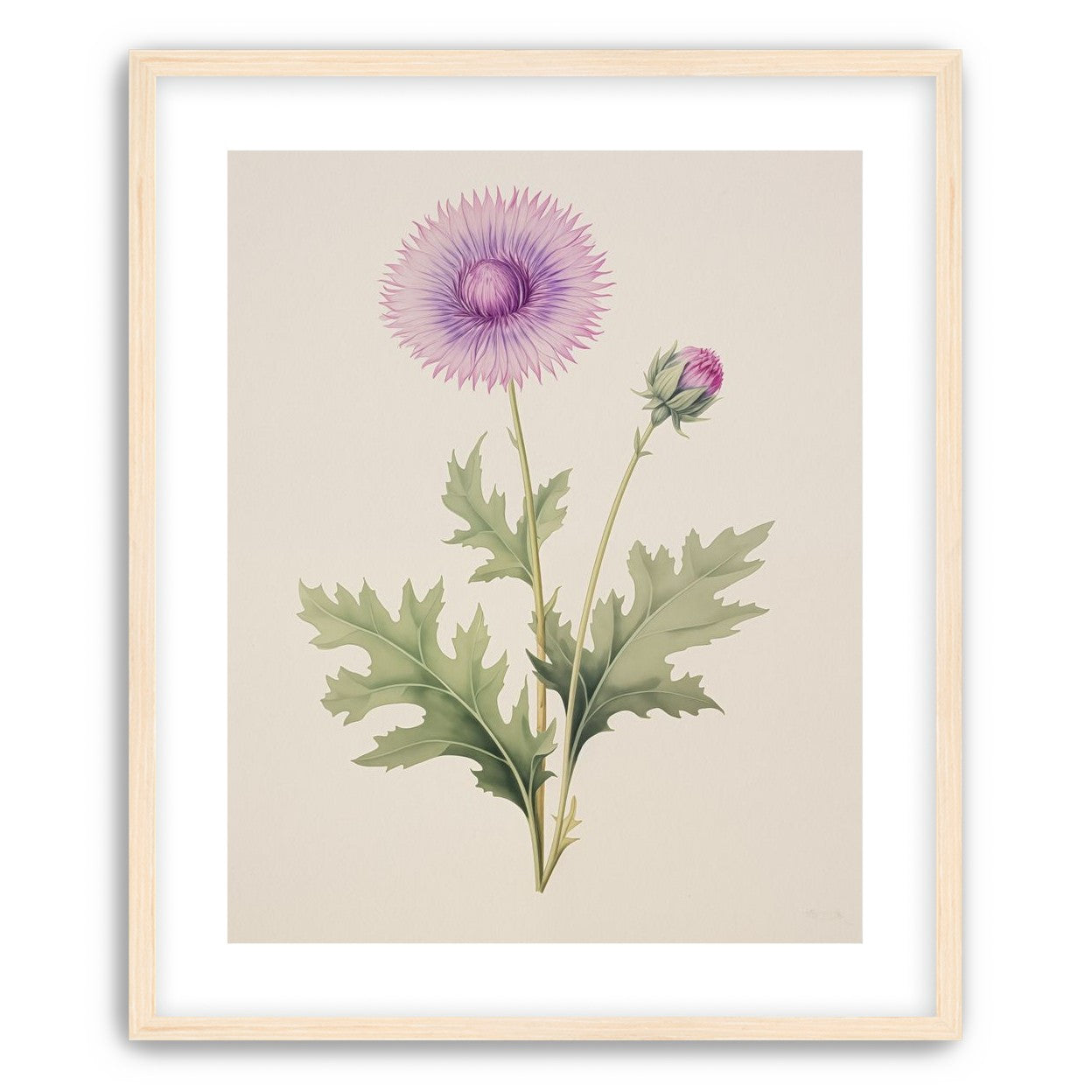 Lavender Radiance