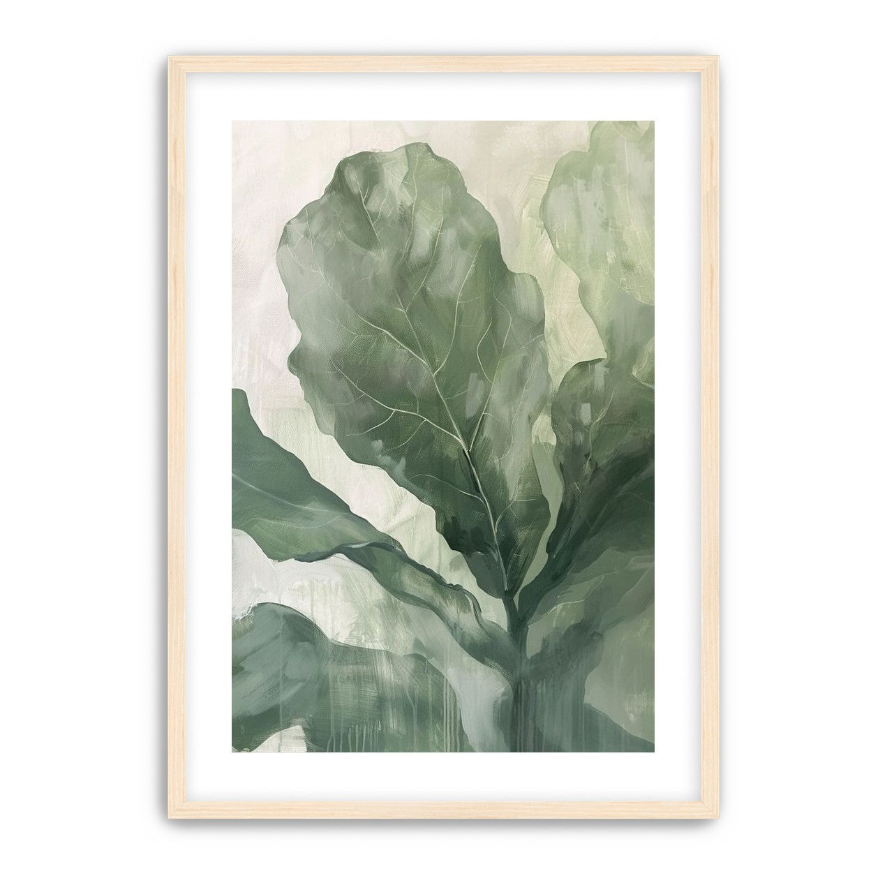 Sage leaves in pale light
