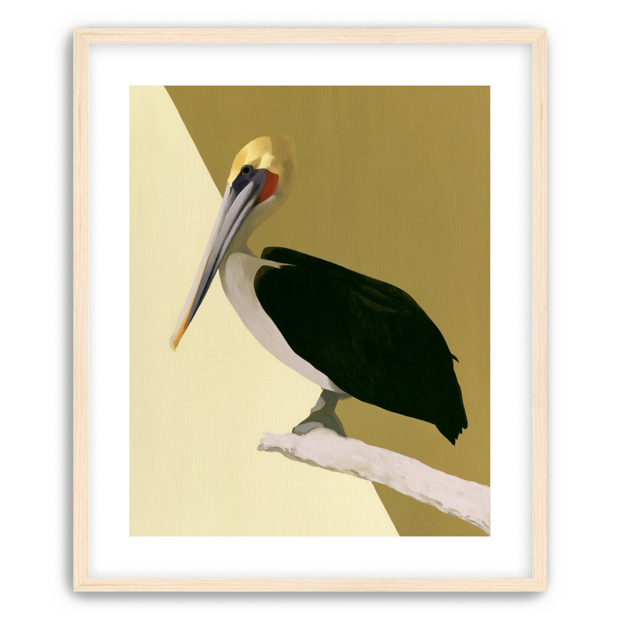 Pelican in quiet balance