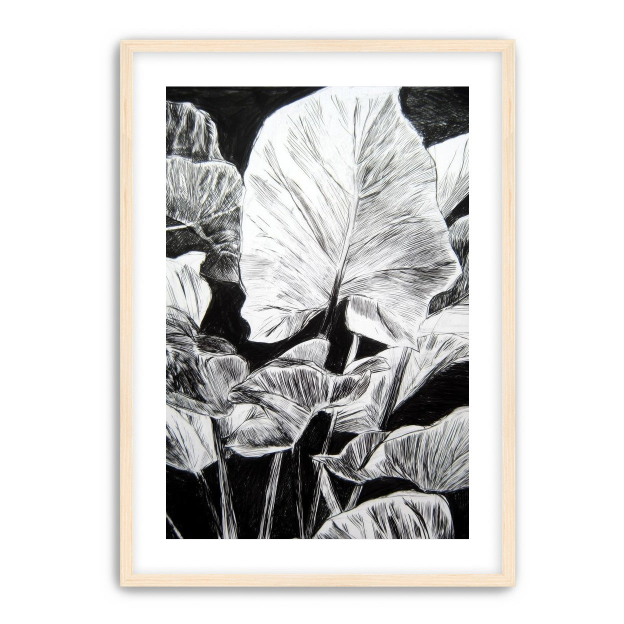 A Cluster of Leaves