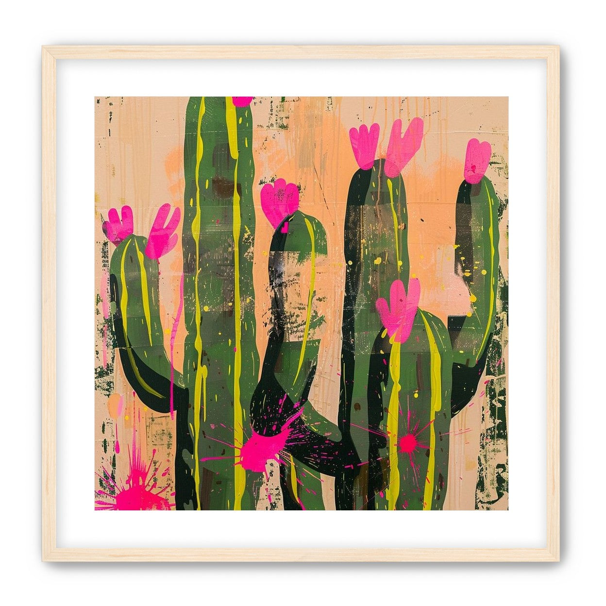 Pink blooms on cacti