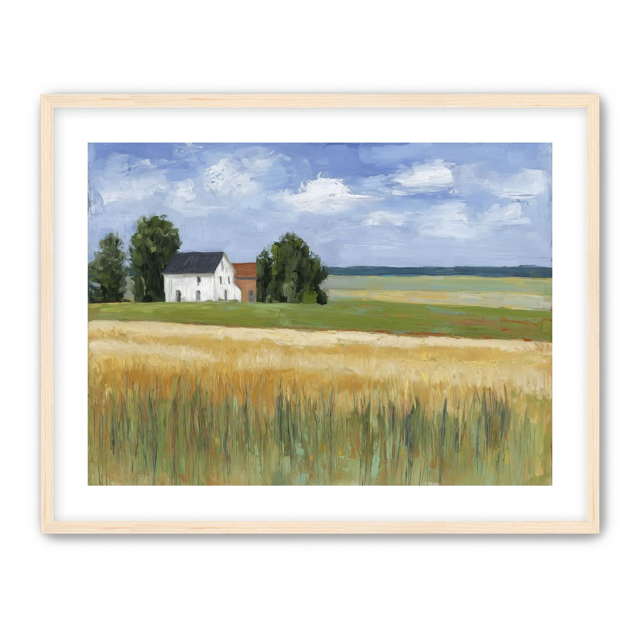 Grain Field Under Sun