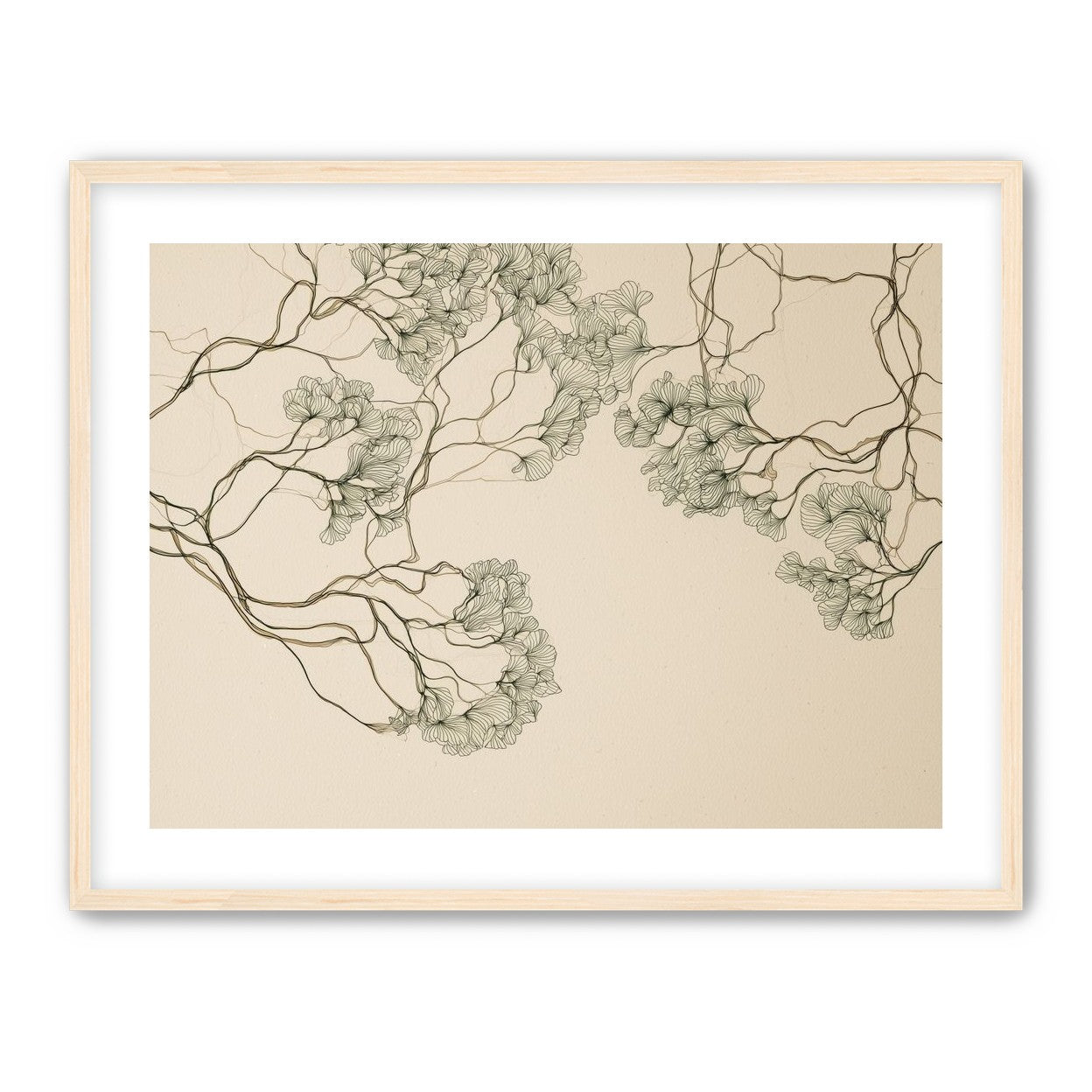 Trees Drawn in Continuous Lines