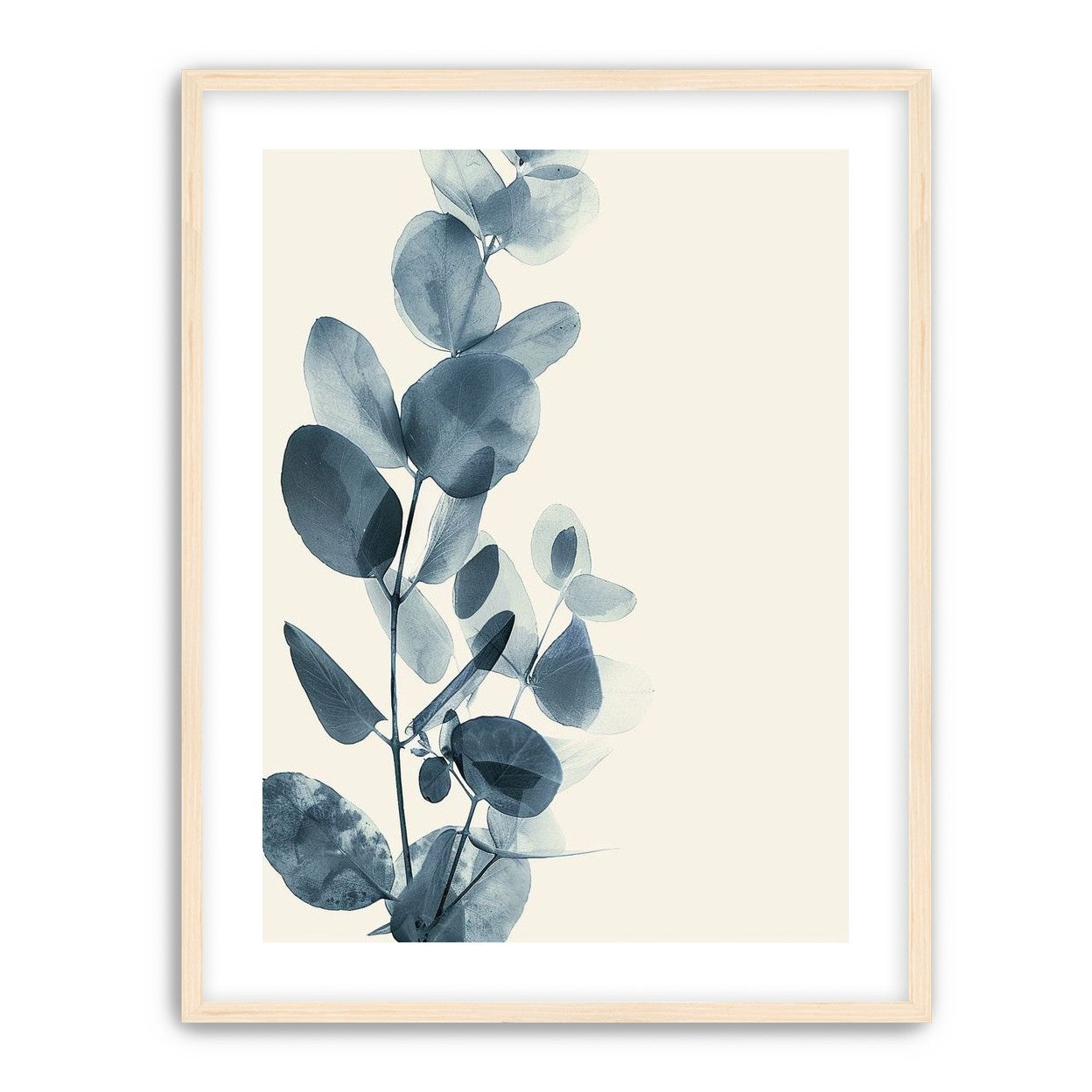 Eucalyptus in quiet blue