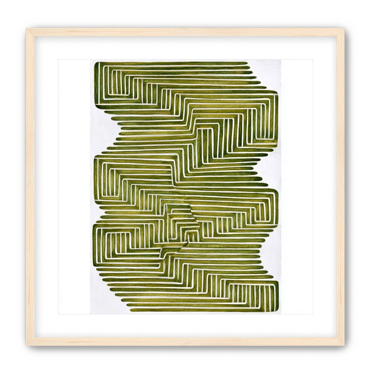 Olive bands in white quiet