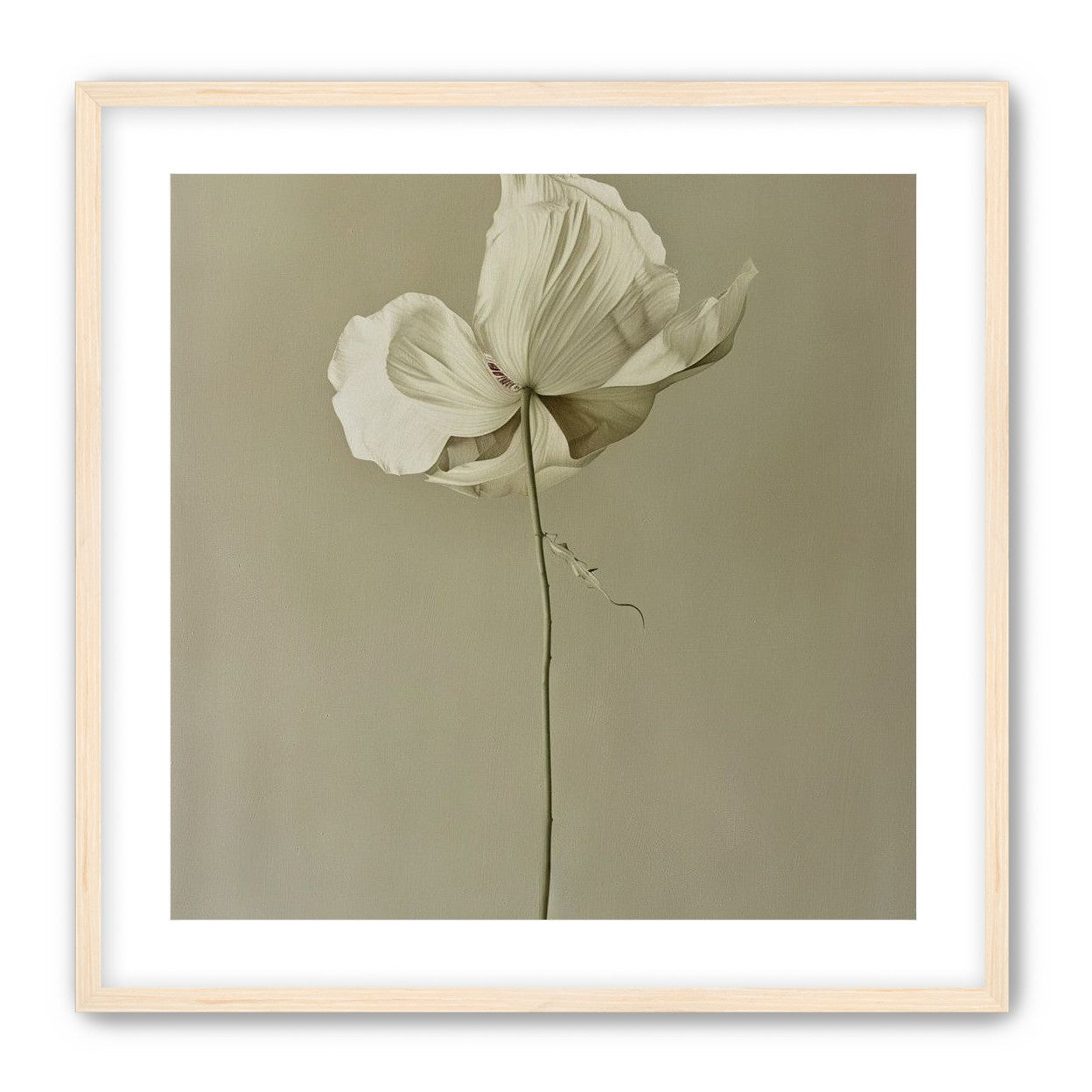 Ivory bloom in gray air