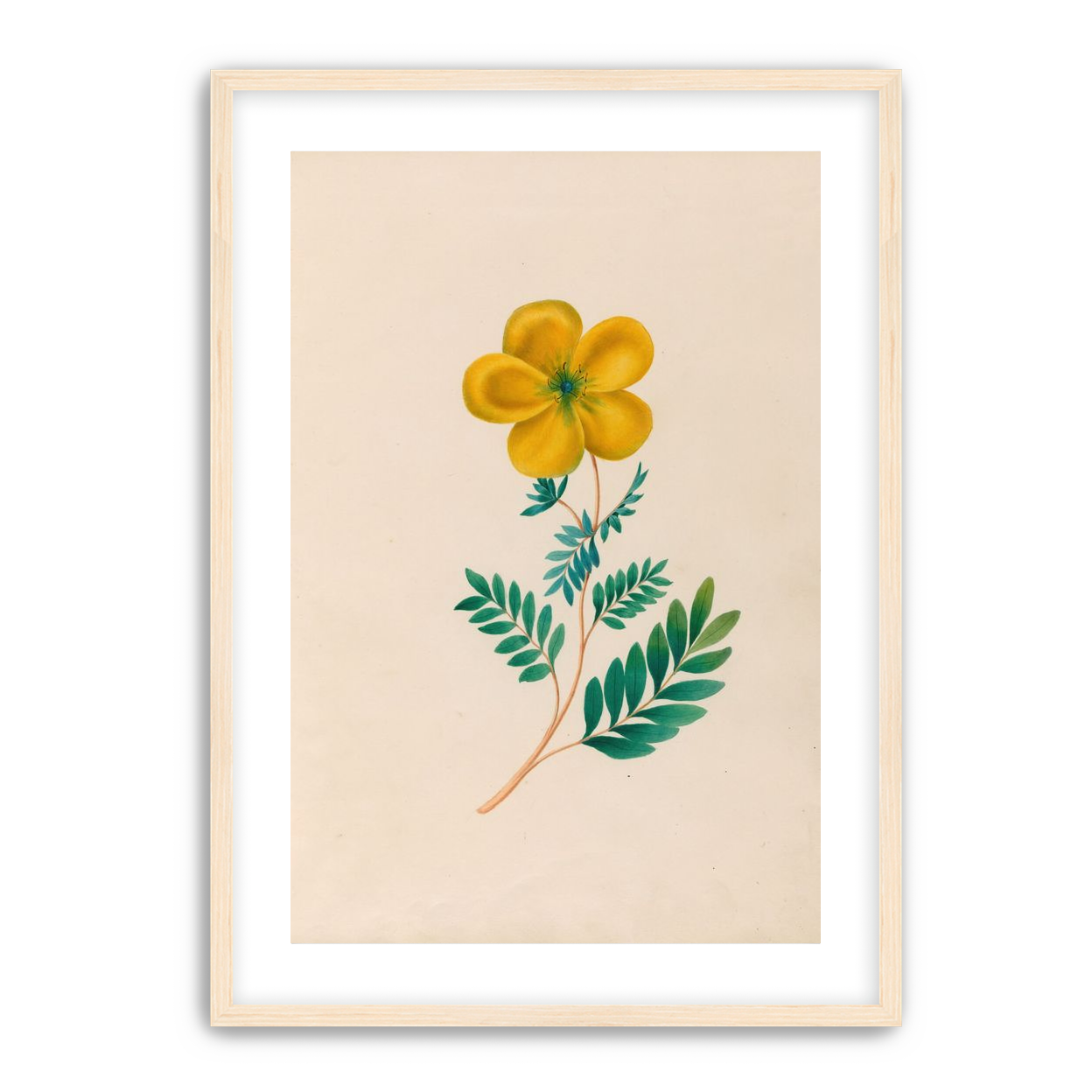 Yellow flower on pale paper