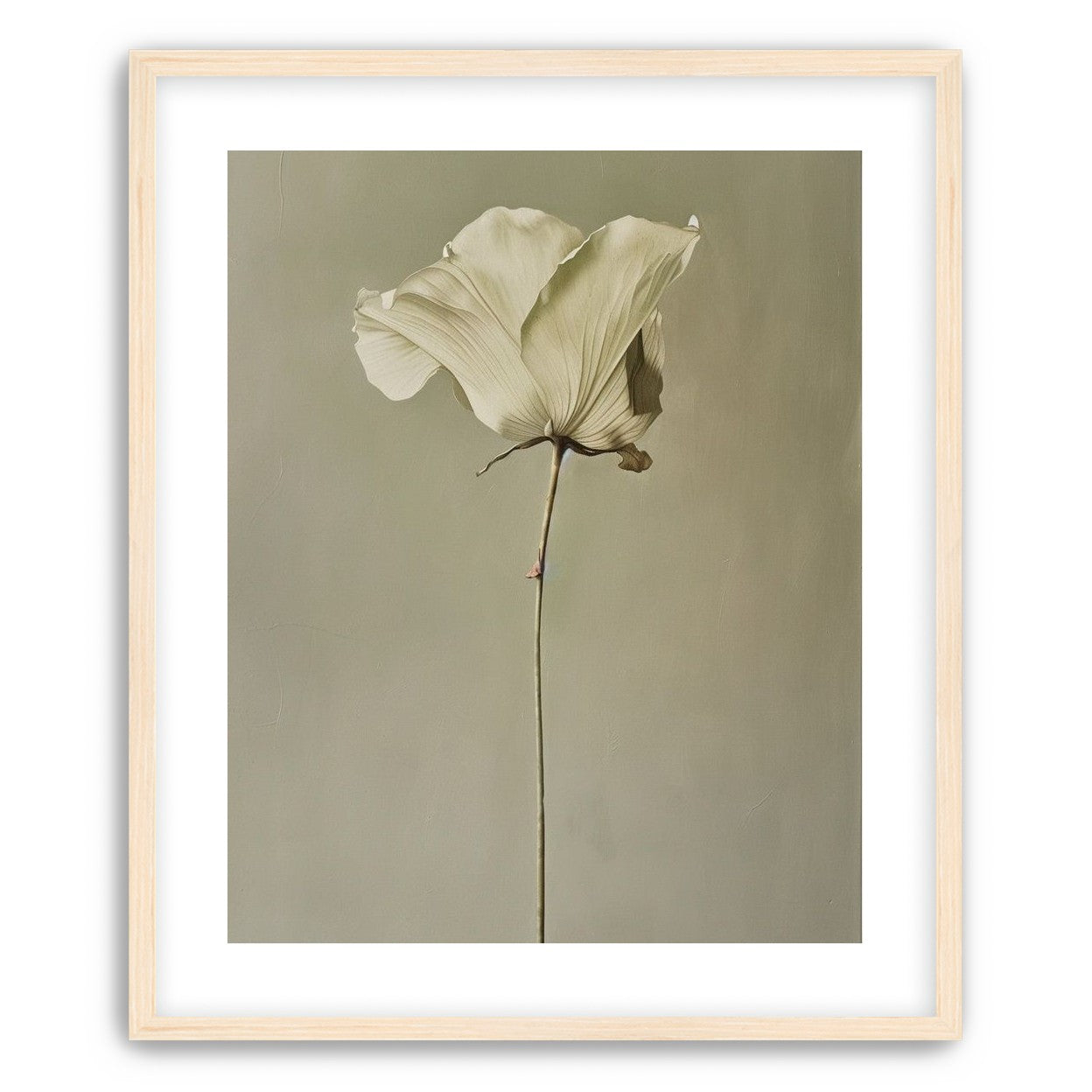 One flower and its hush