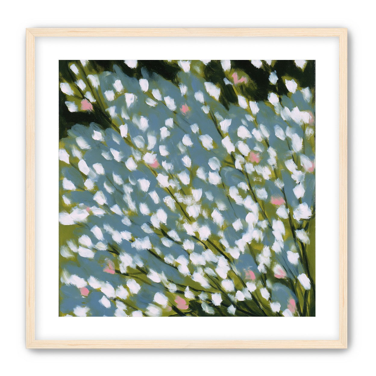 Pink breaks the white field