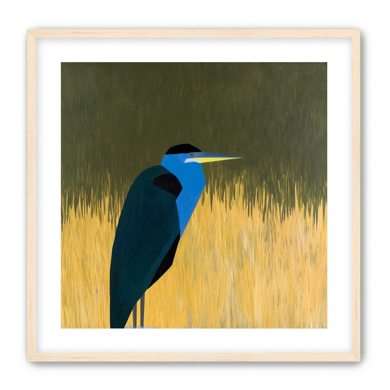 Blue bird in yellow grass