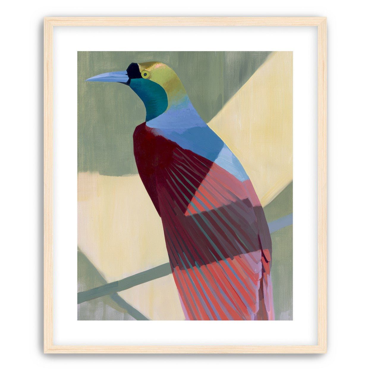 Teal throat on maroon wing