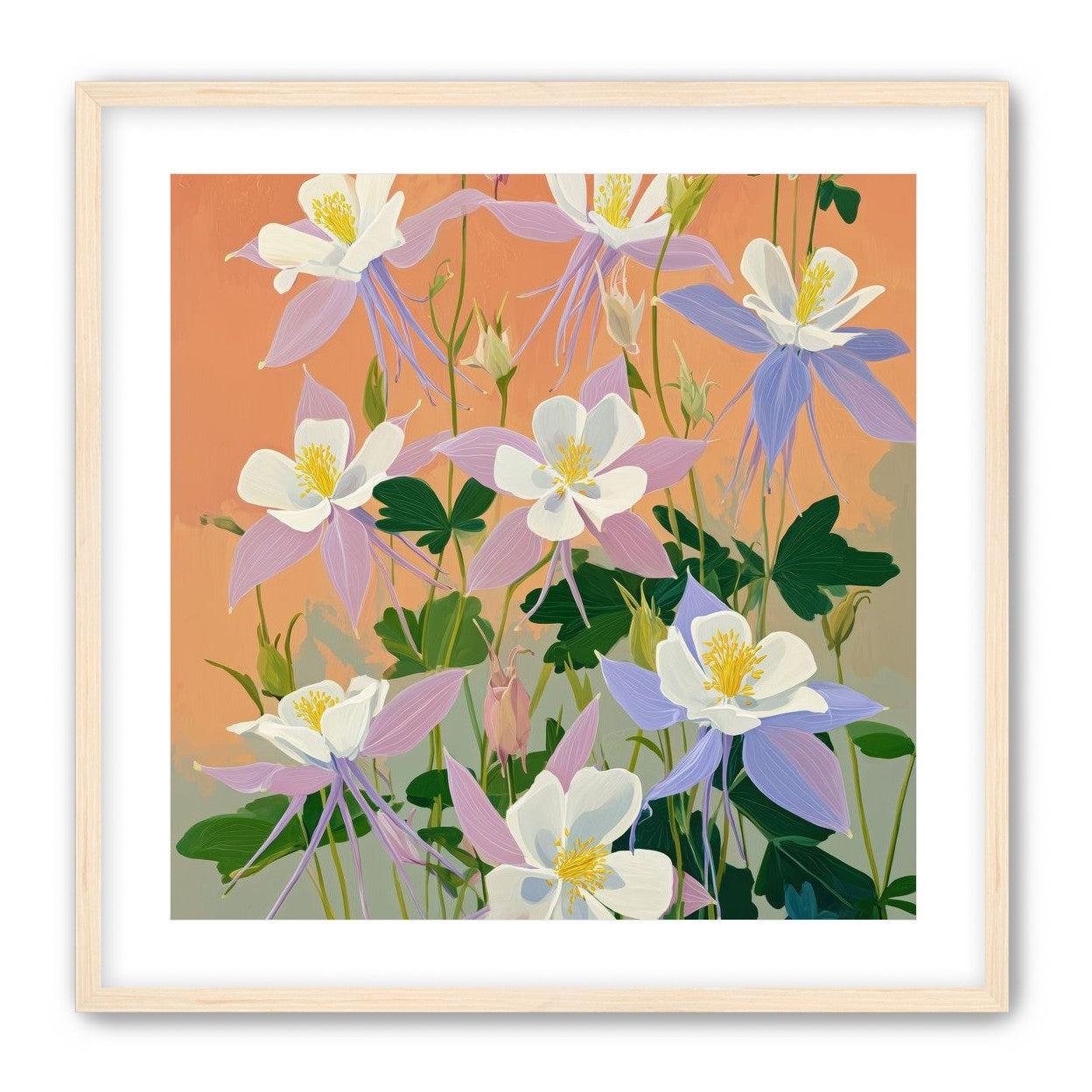 Columbines in Bloom