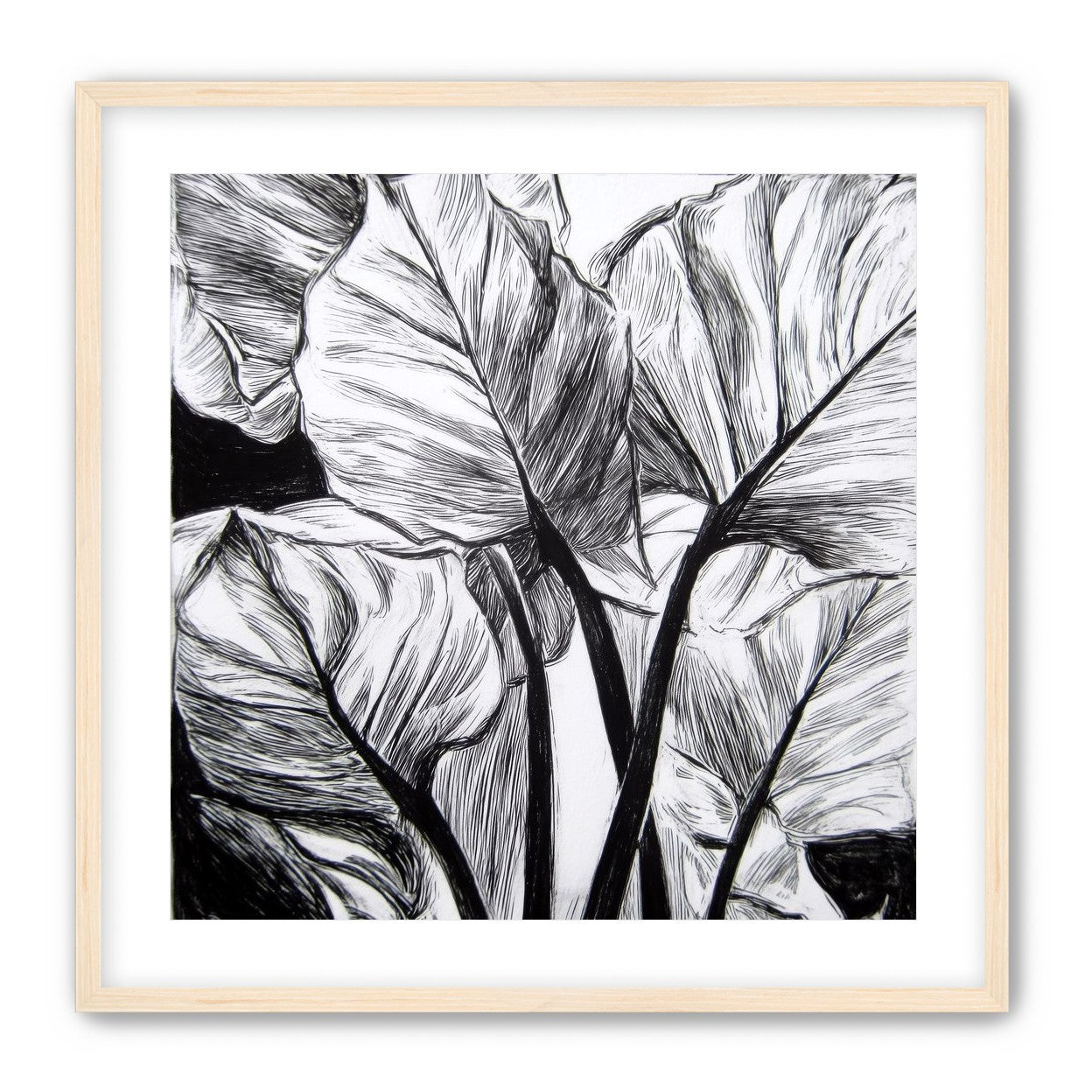 Overlapping Leaves on Dark Ground