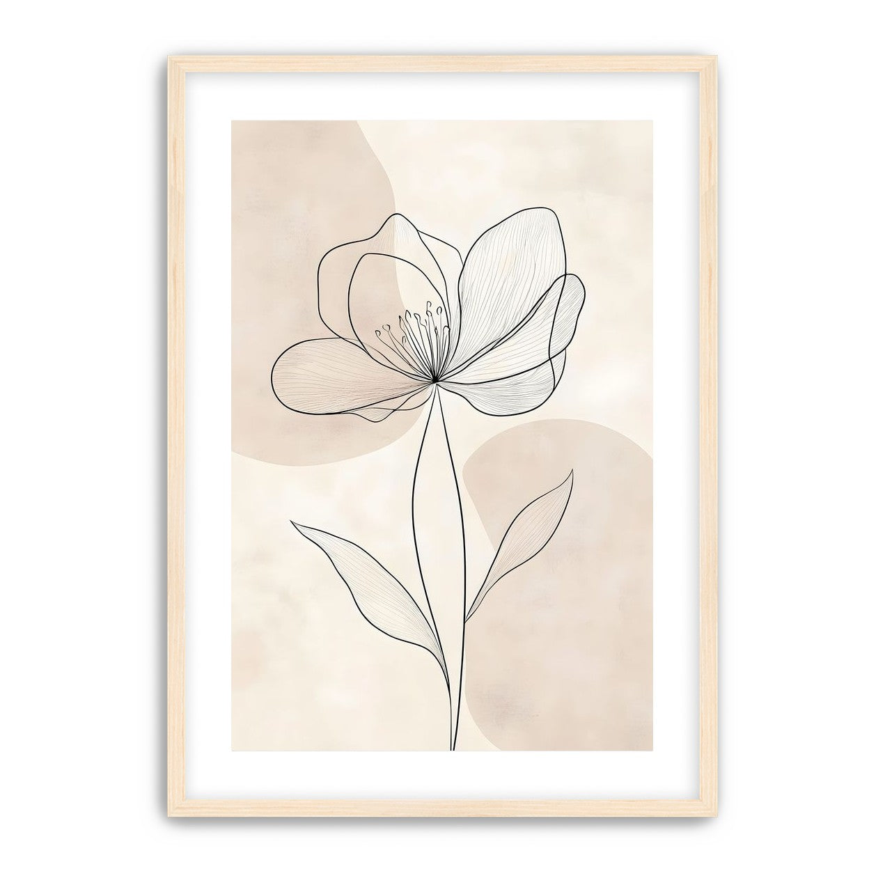 Single Bloom