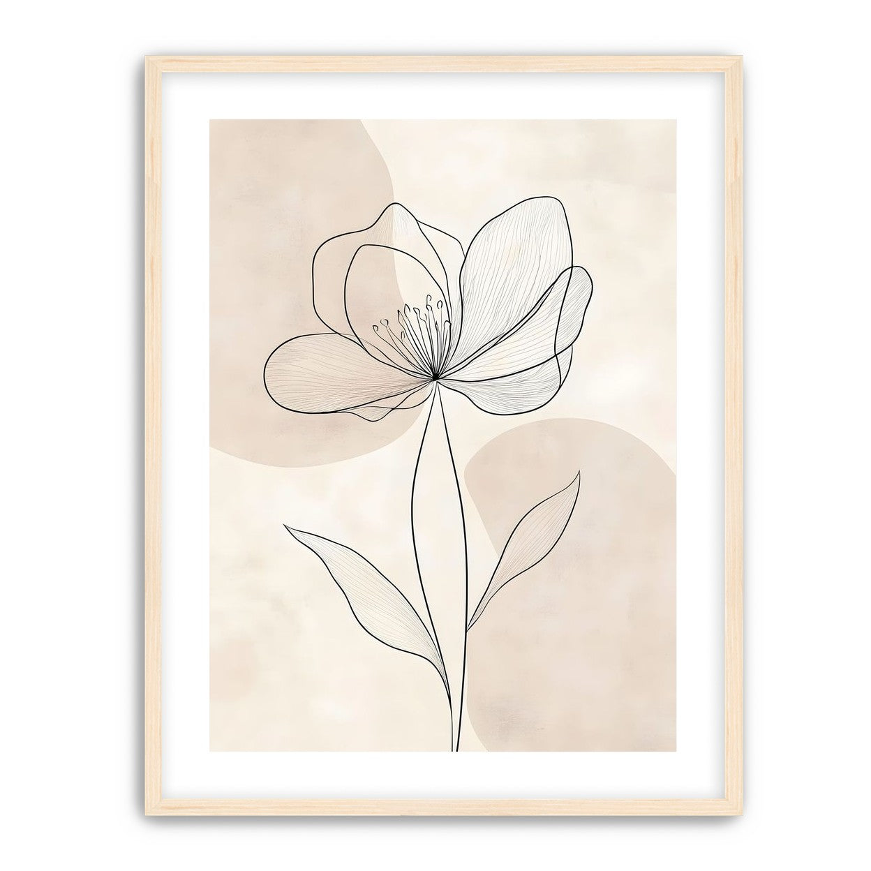 Single Bloom