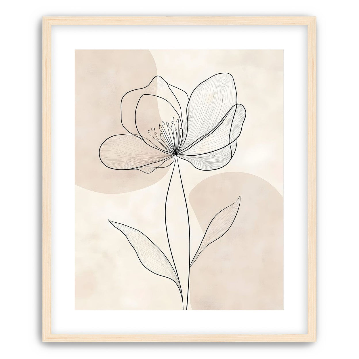 Single Bloom