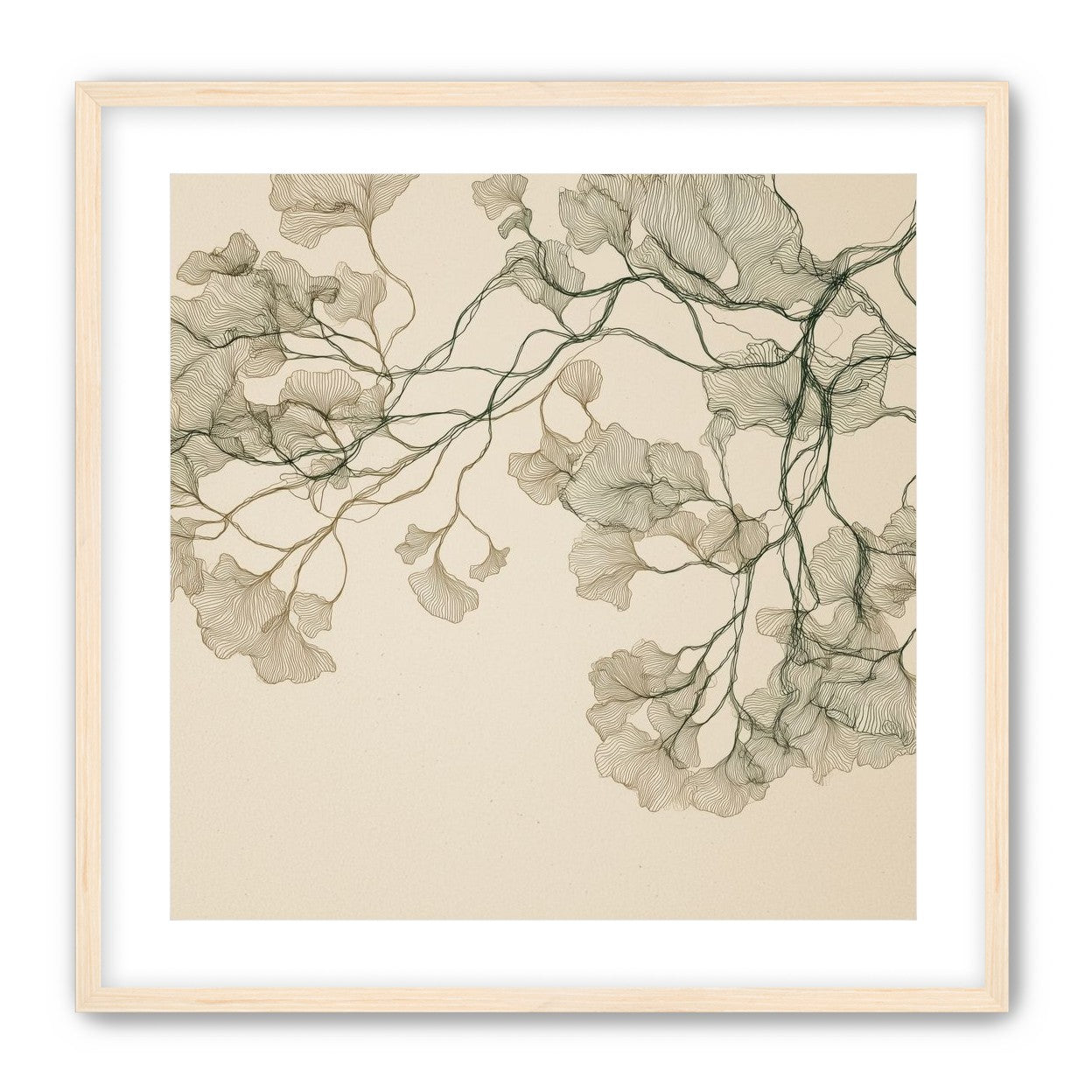 Open Canopies in Ink