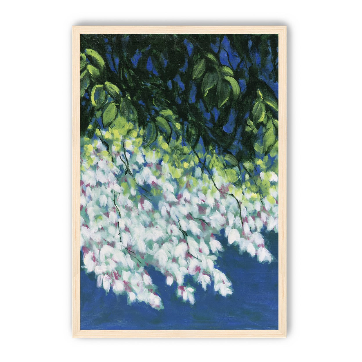 White blossoms in blue shade