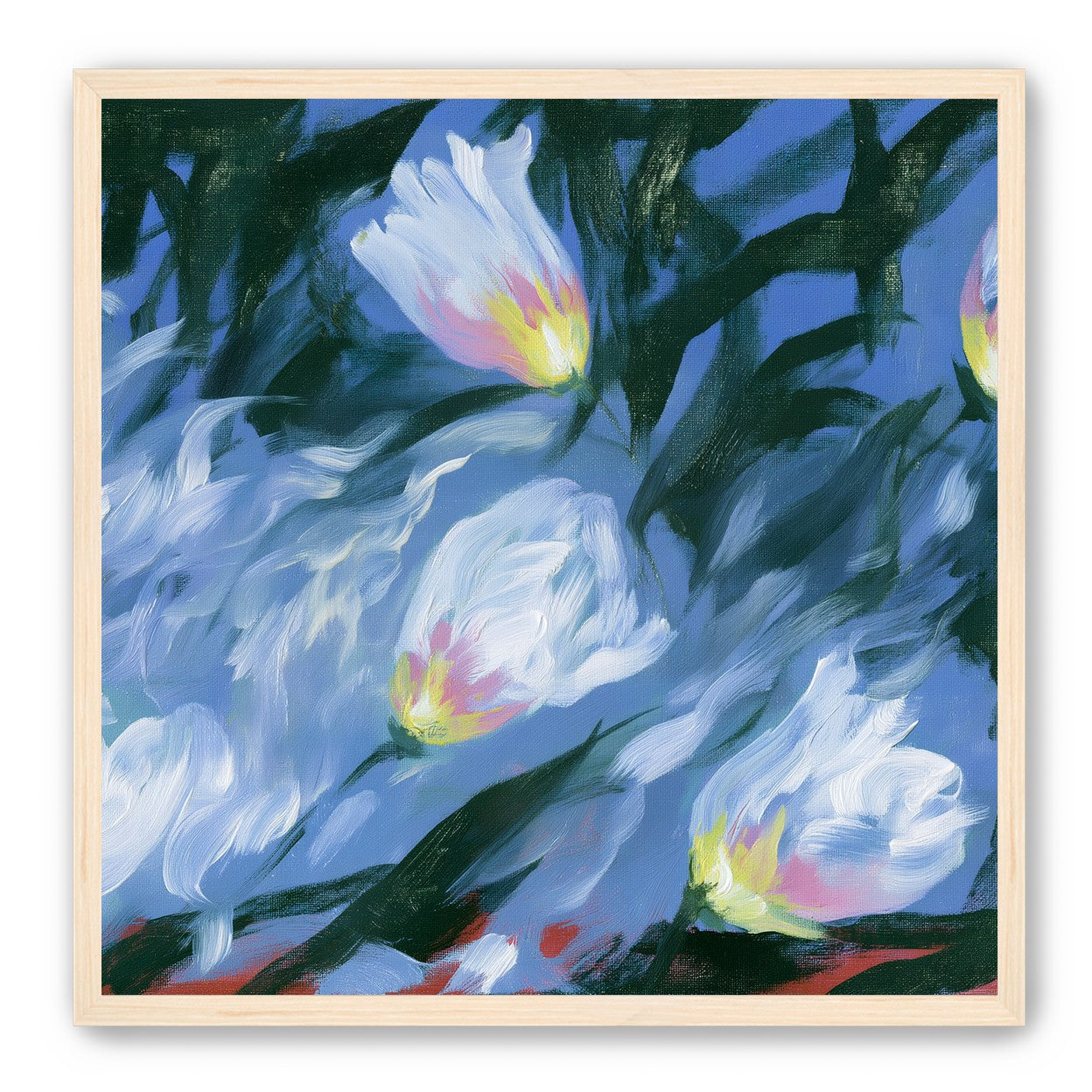 White tulips on blue ground