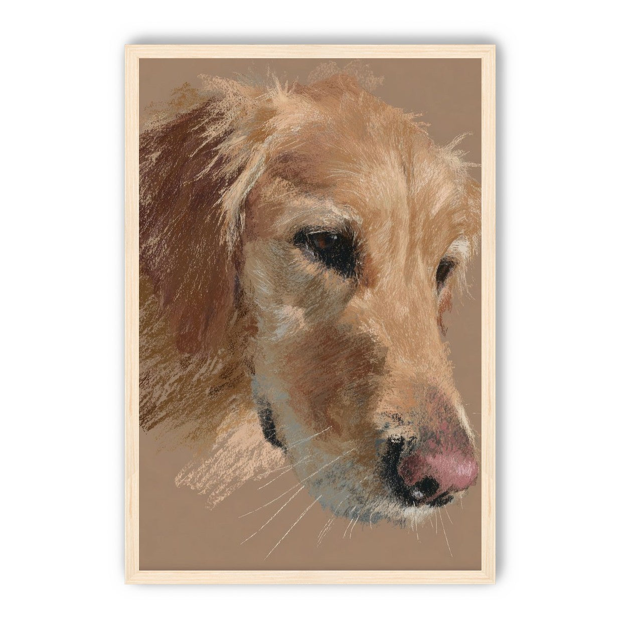 Warm browns on a golden retriever