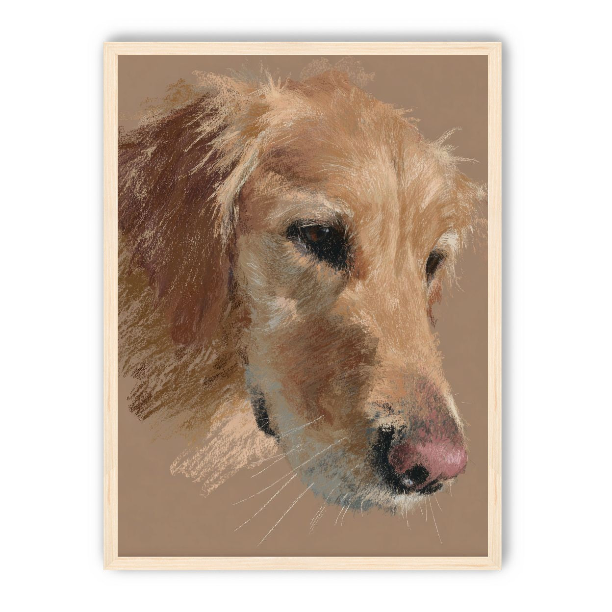 Warm browns on a golden retriever