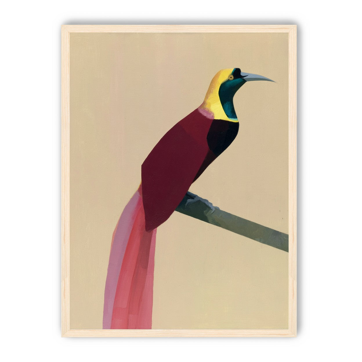 A bright bird on a branch