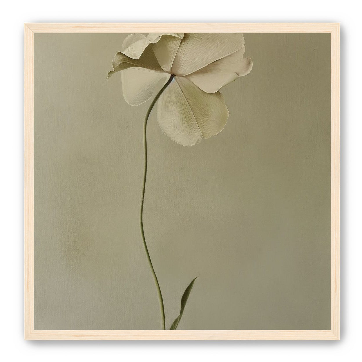 One flower leaning into quiet