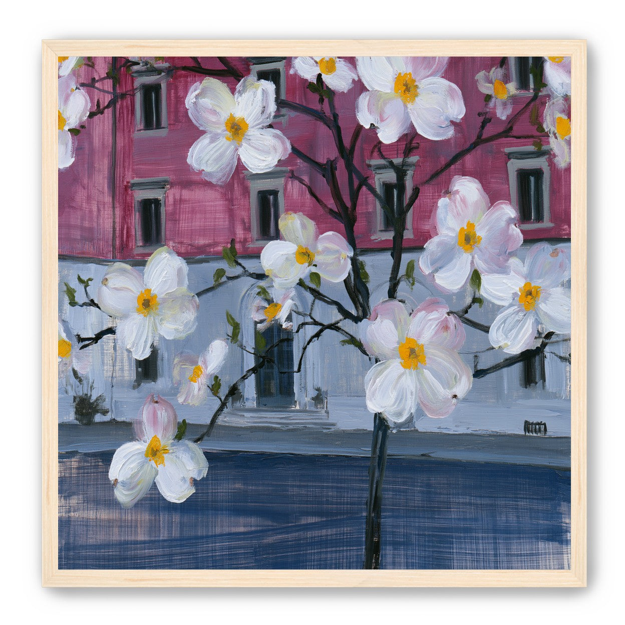 White blossoms over the pink house