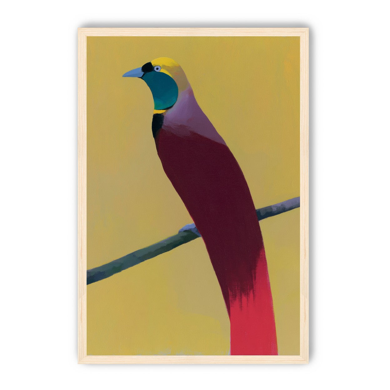 A bright bird on yellow