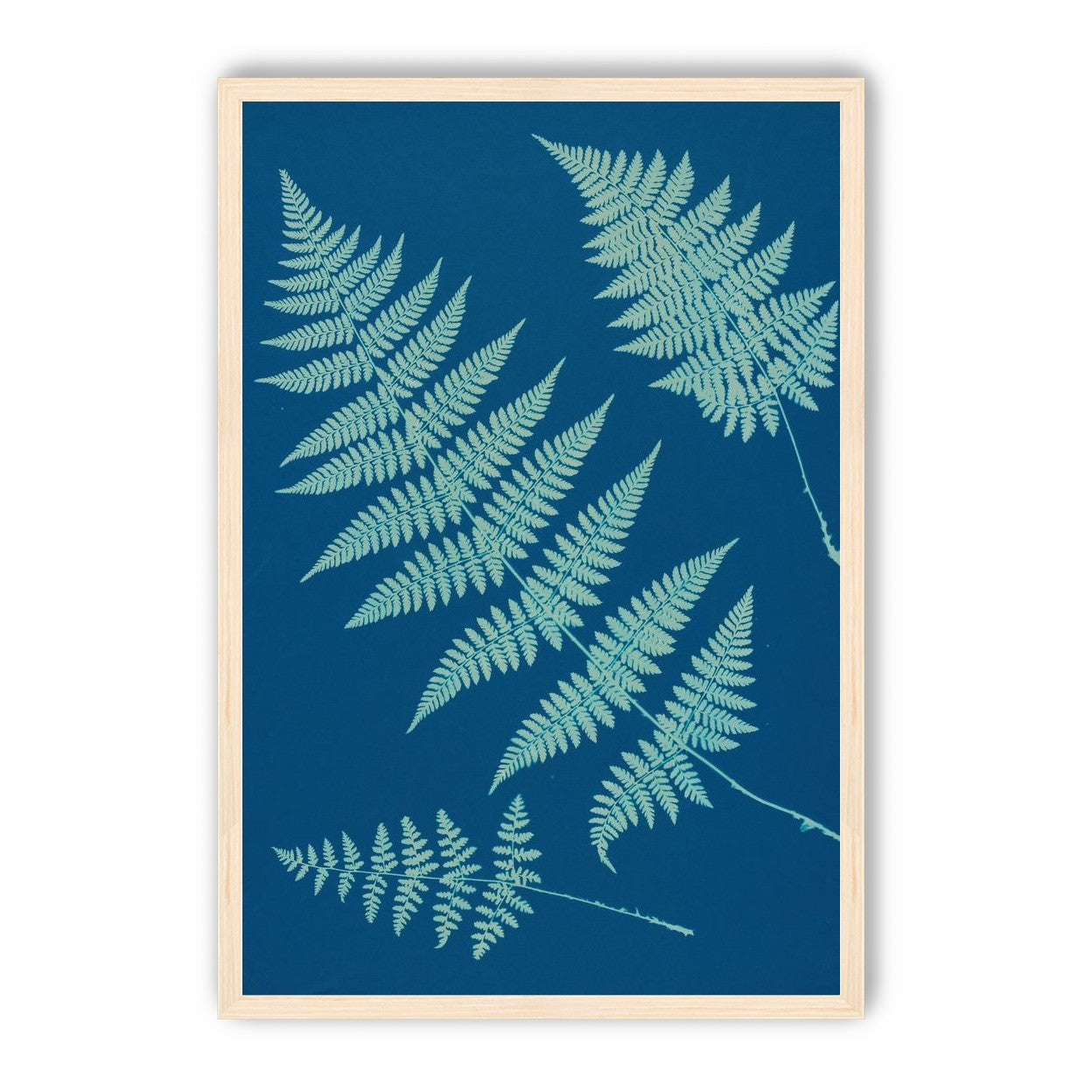 Pale ferns in deep blue