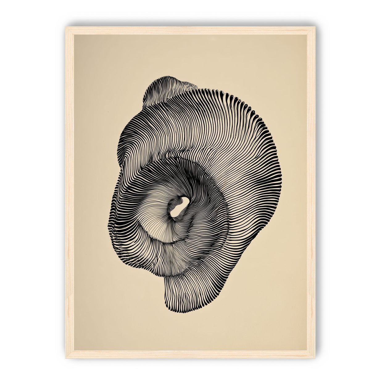 A hollow within black lines