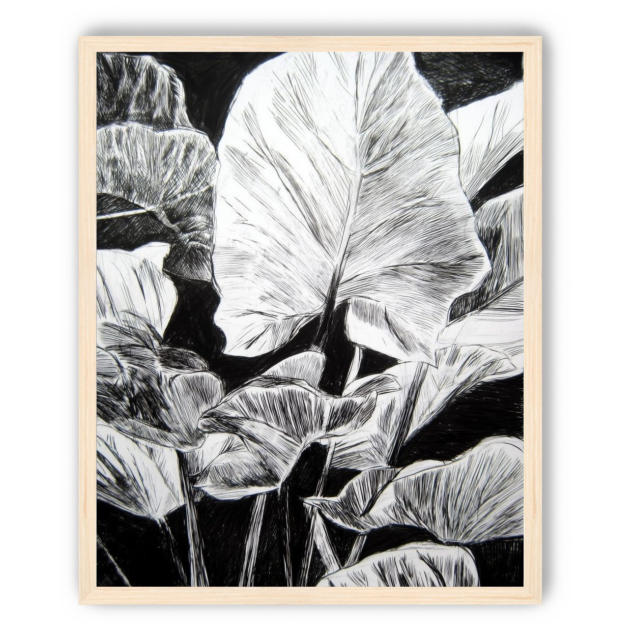 A Cluster of Leaves