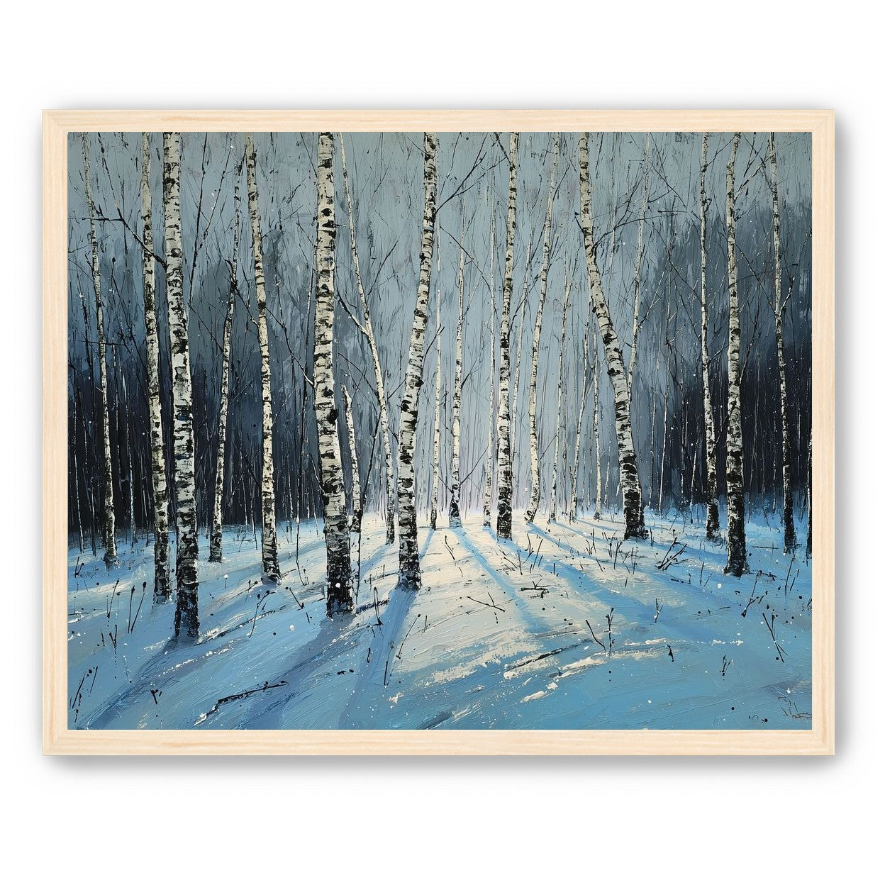 Birch Trees in Winter Light
