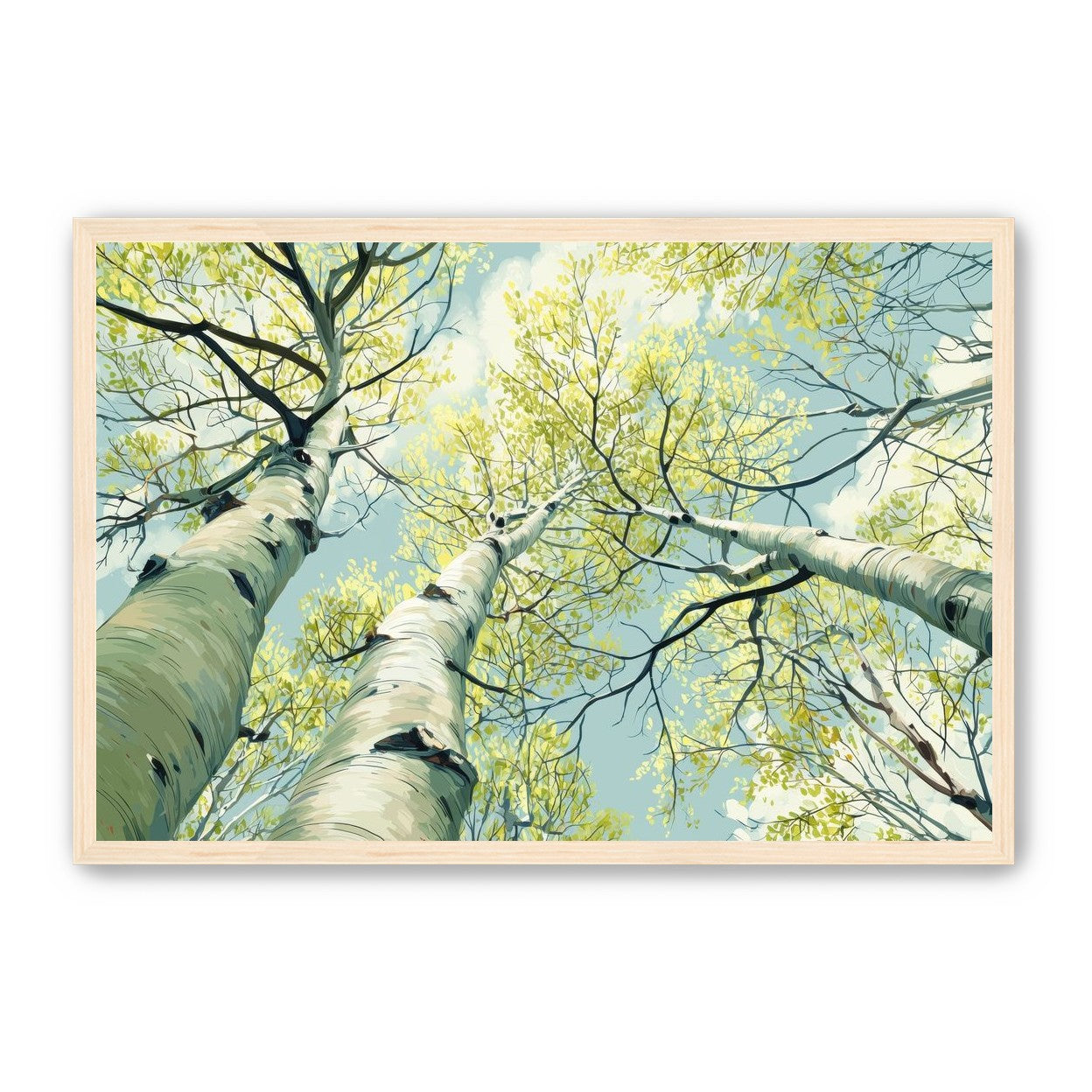 Branches Holding Light