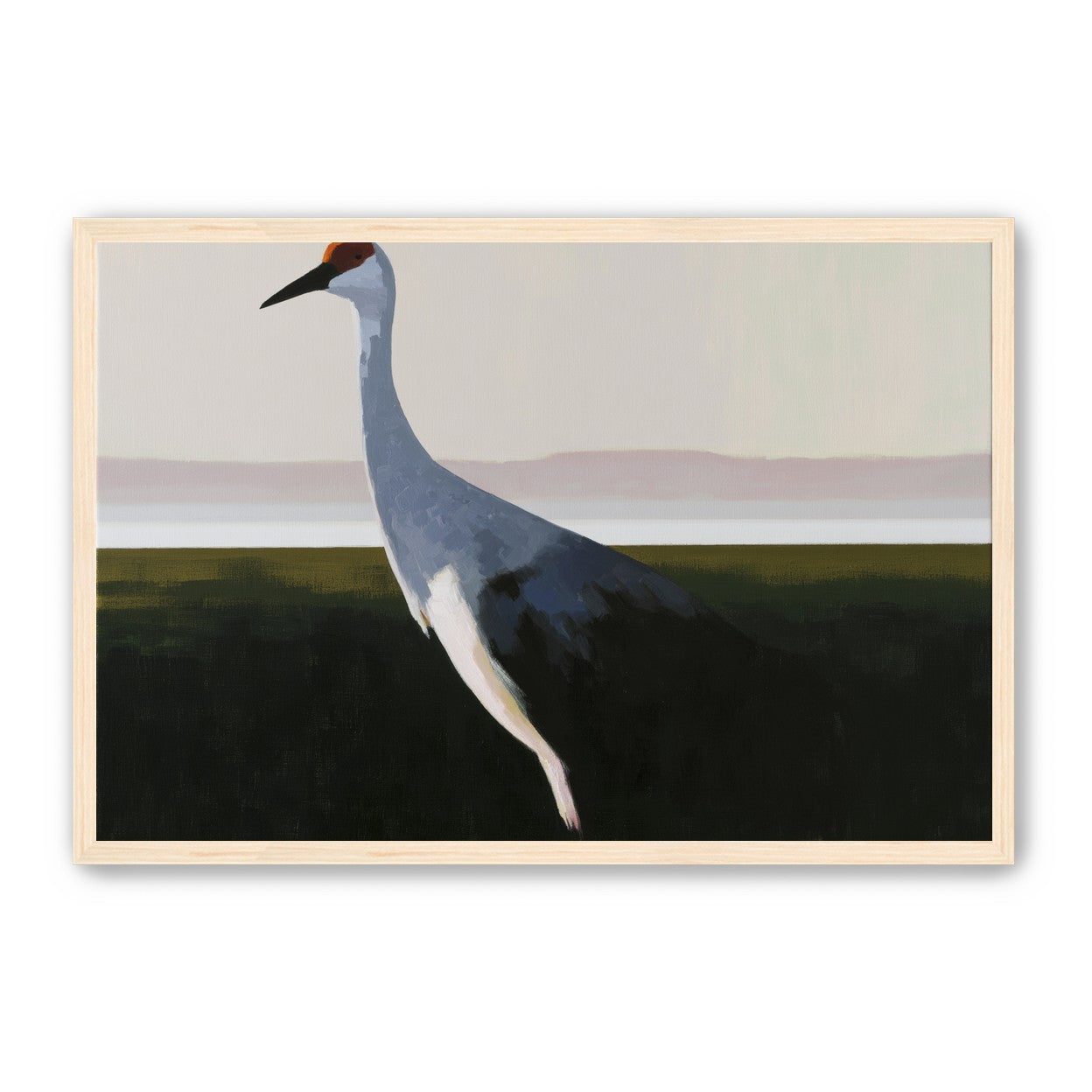 Crane with a red crown