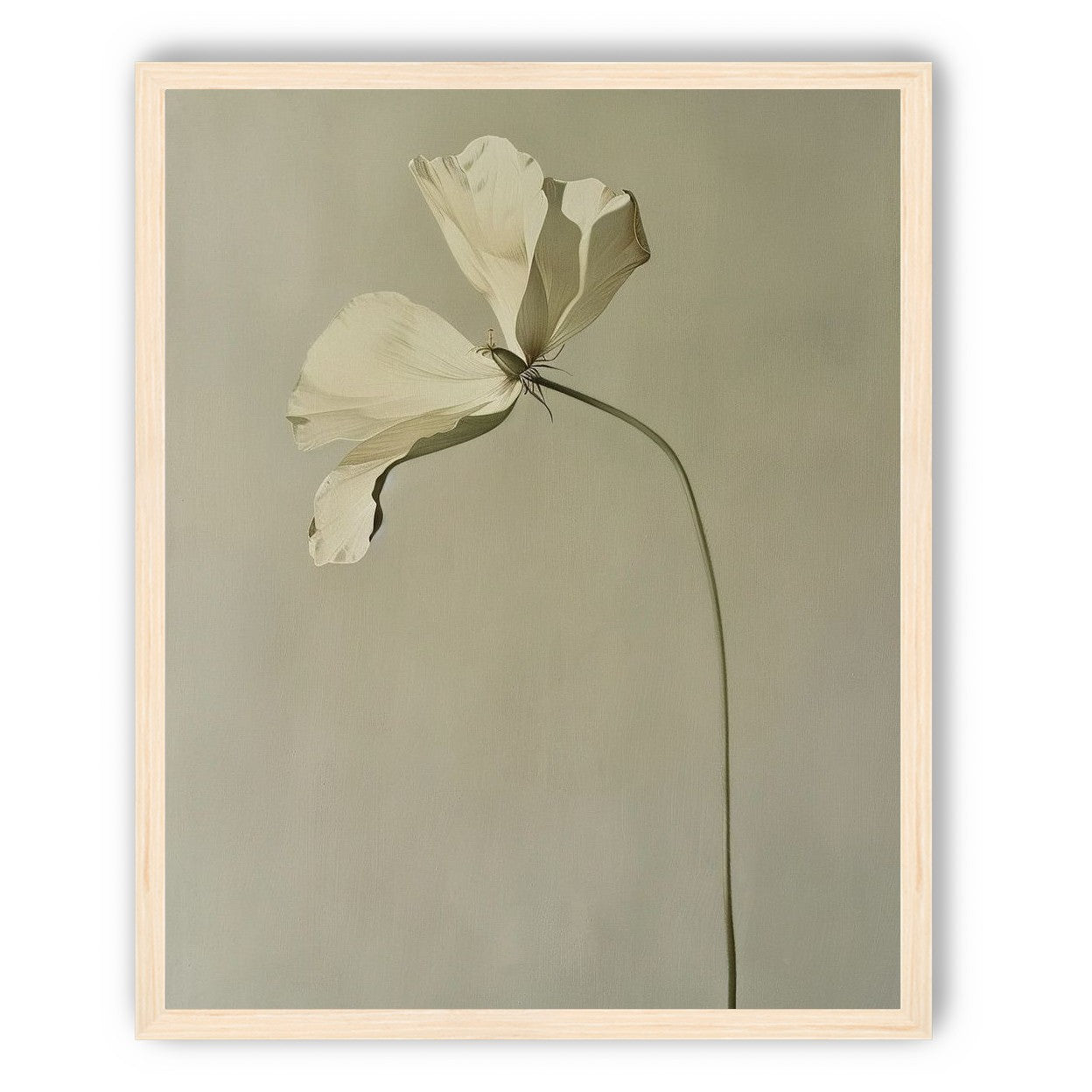 Cream petals in gray green air