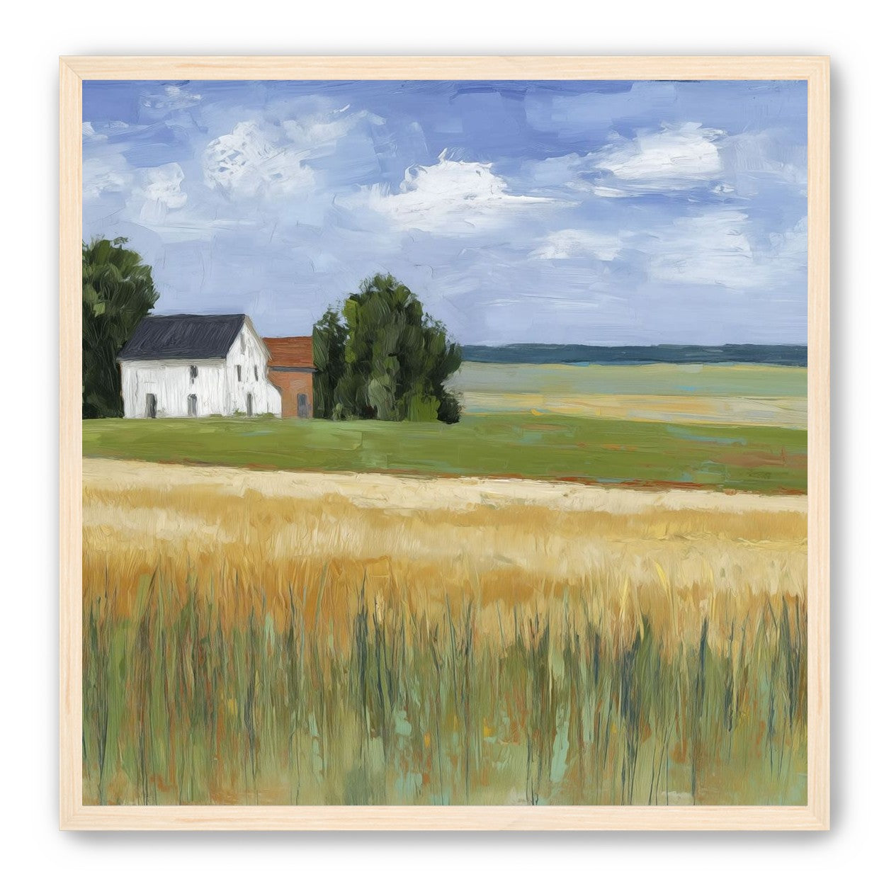 Grain Field Under Sun