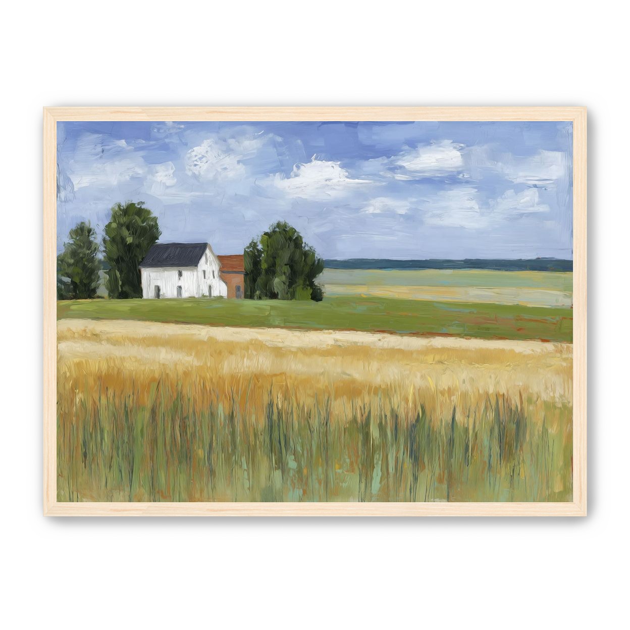 Grain Field Under Sun