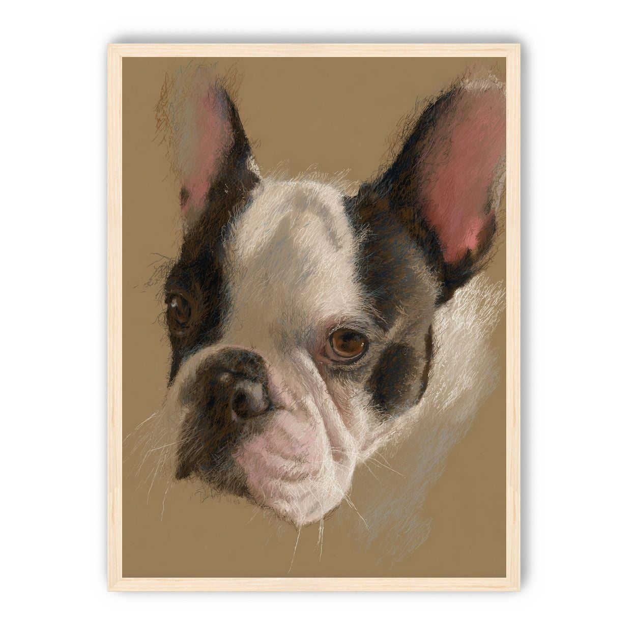 Close portrait with upright ears