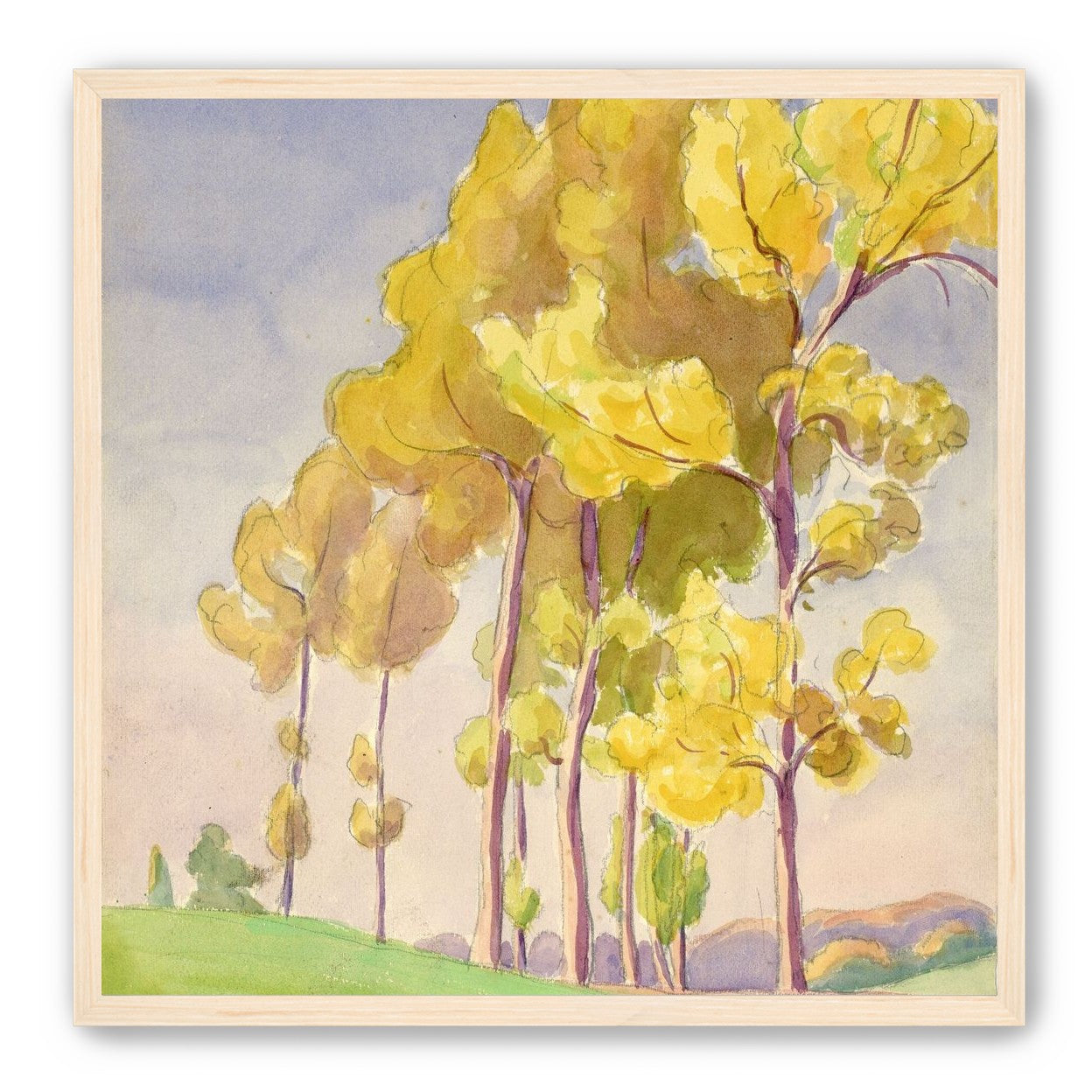 Yellow crowns on the hill