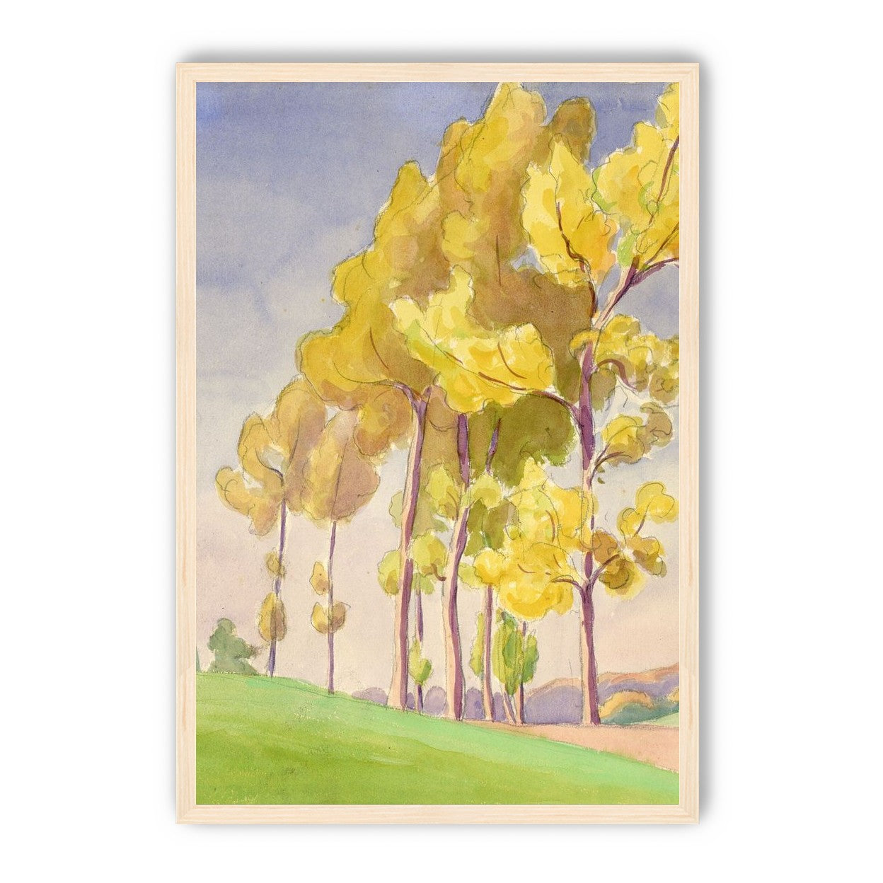 Yellow crowns on the hill