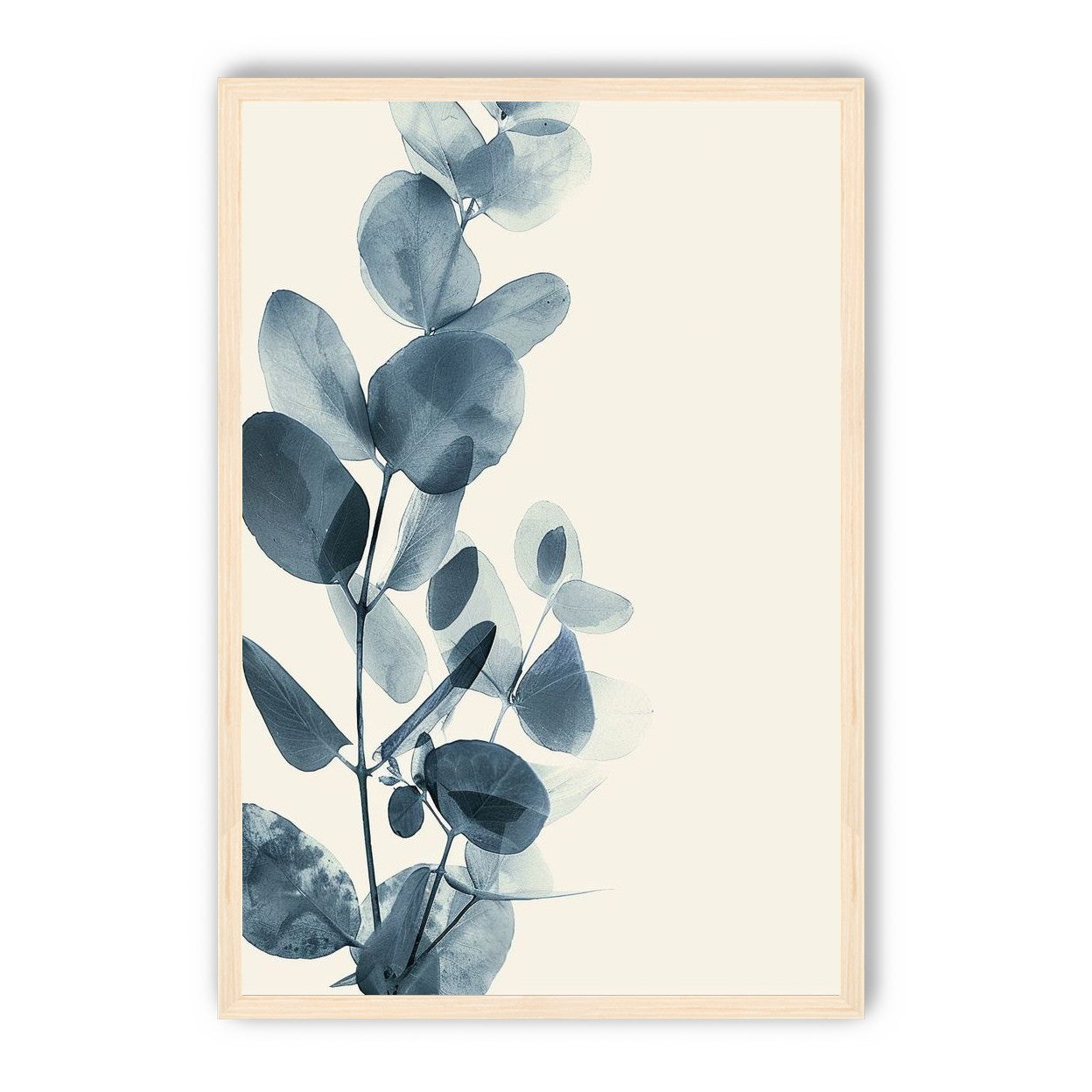 Eucalyptus in quiet blue