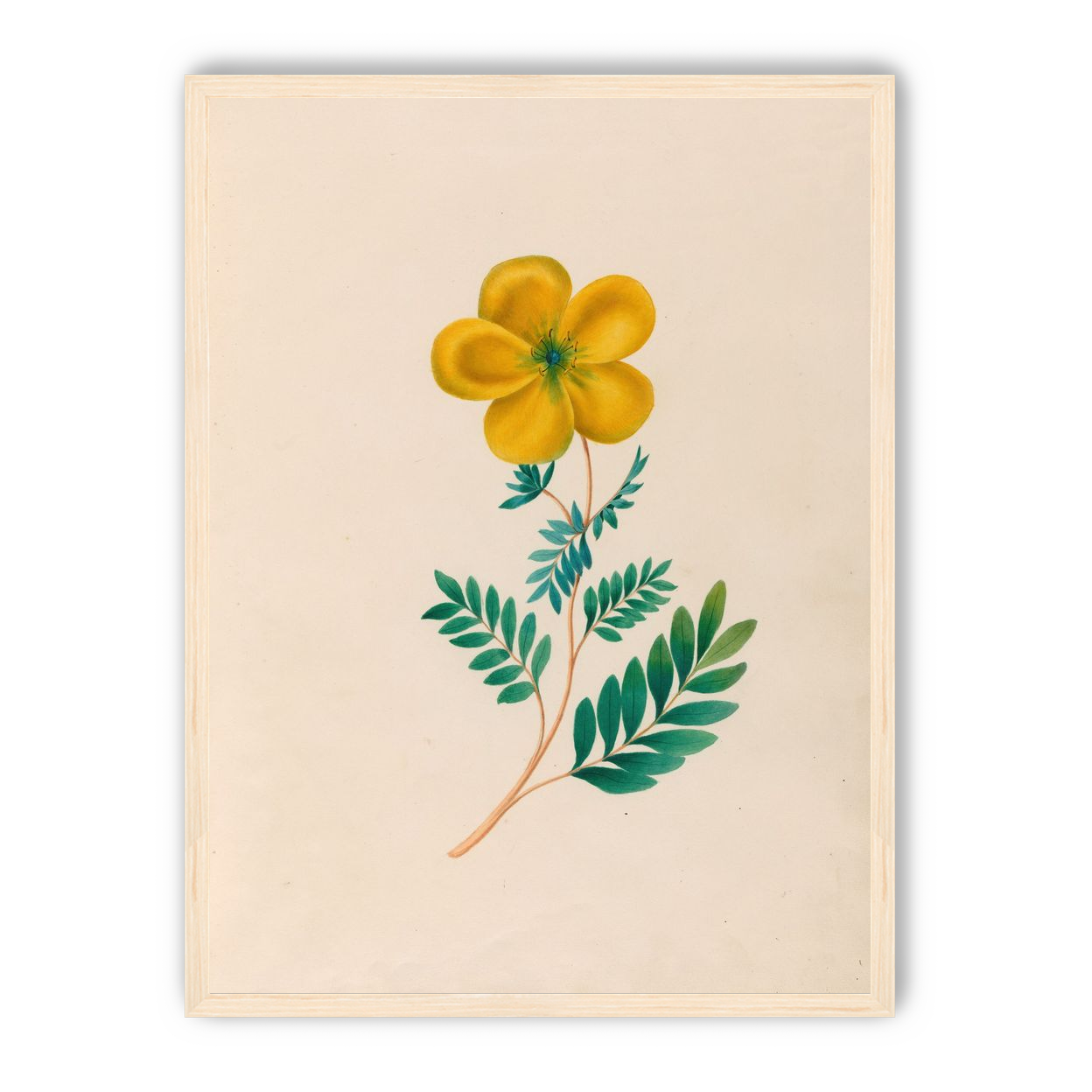 Yellow flower on pale paper