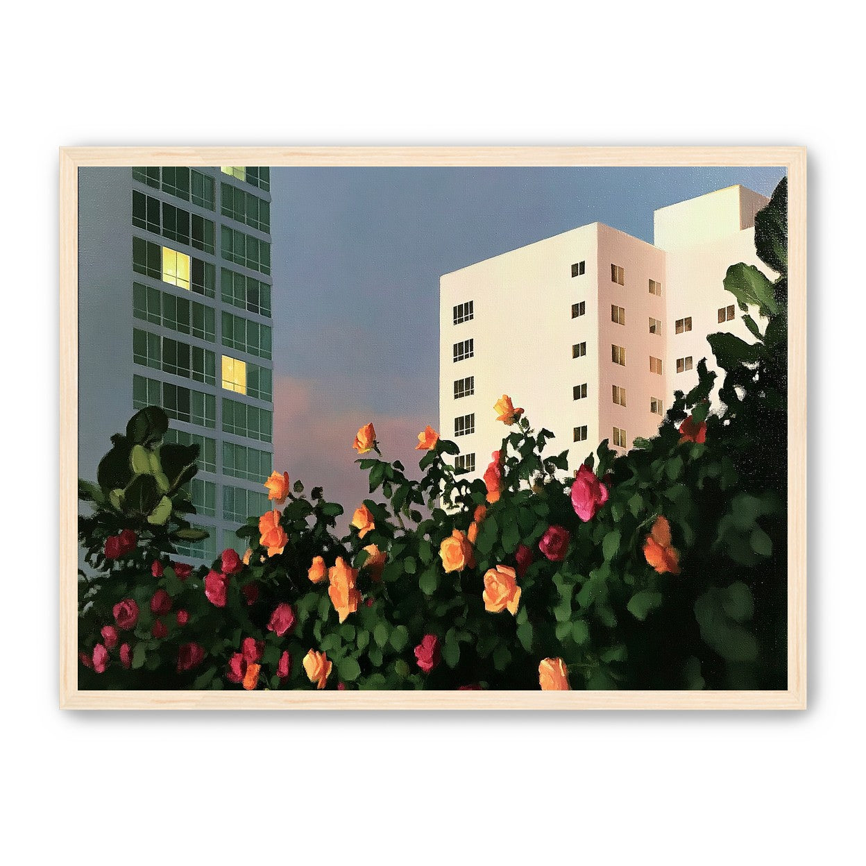 Roses below lit windows