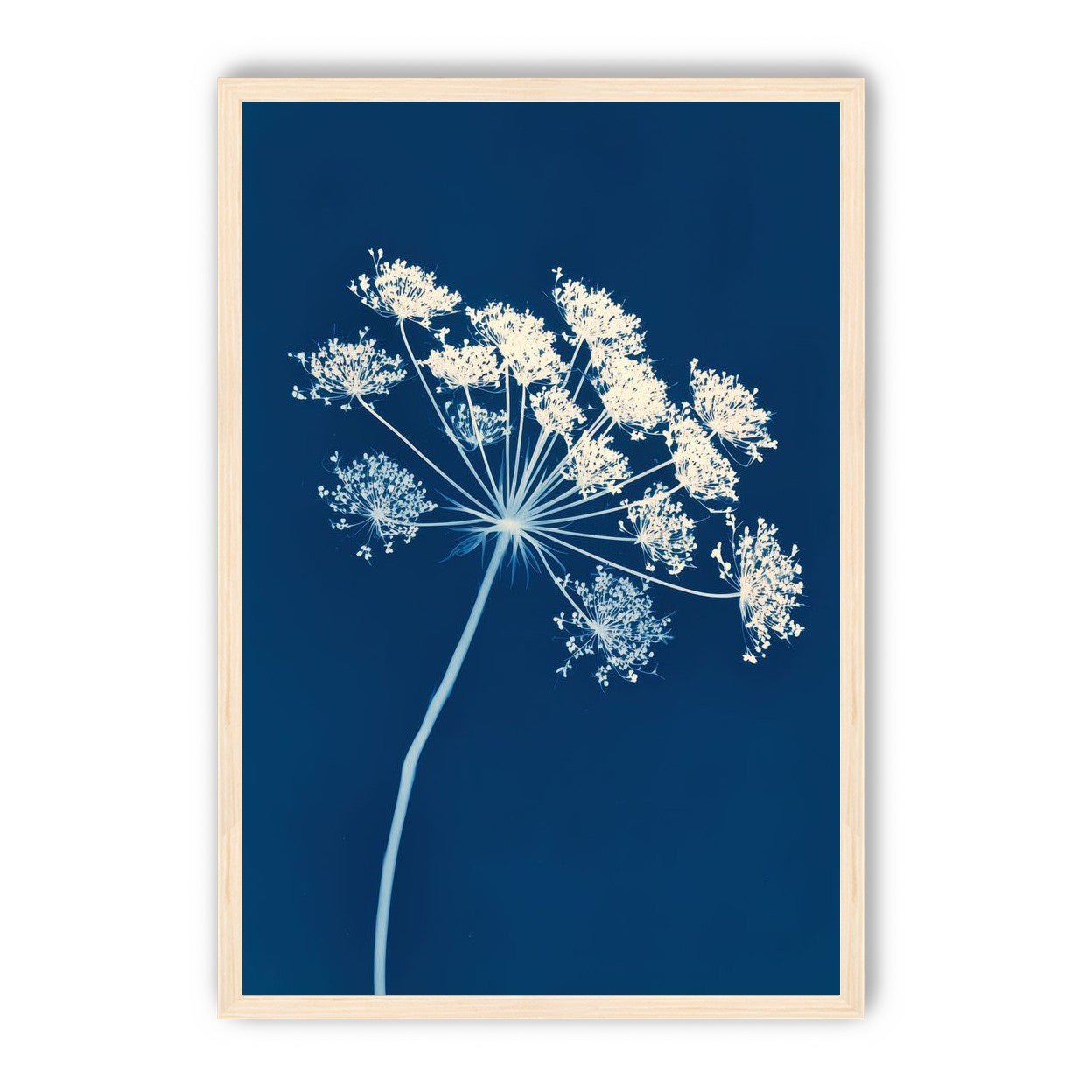 Midnight Bloom