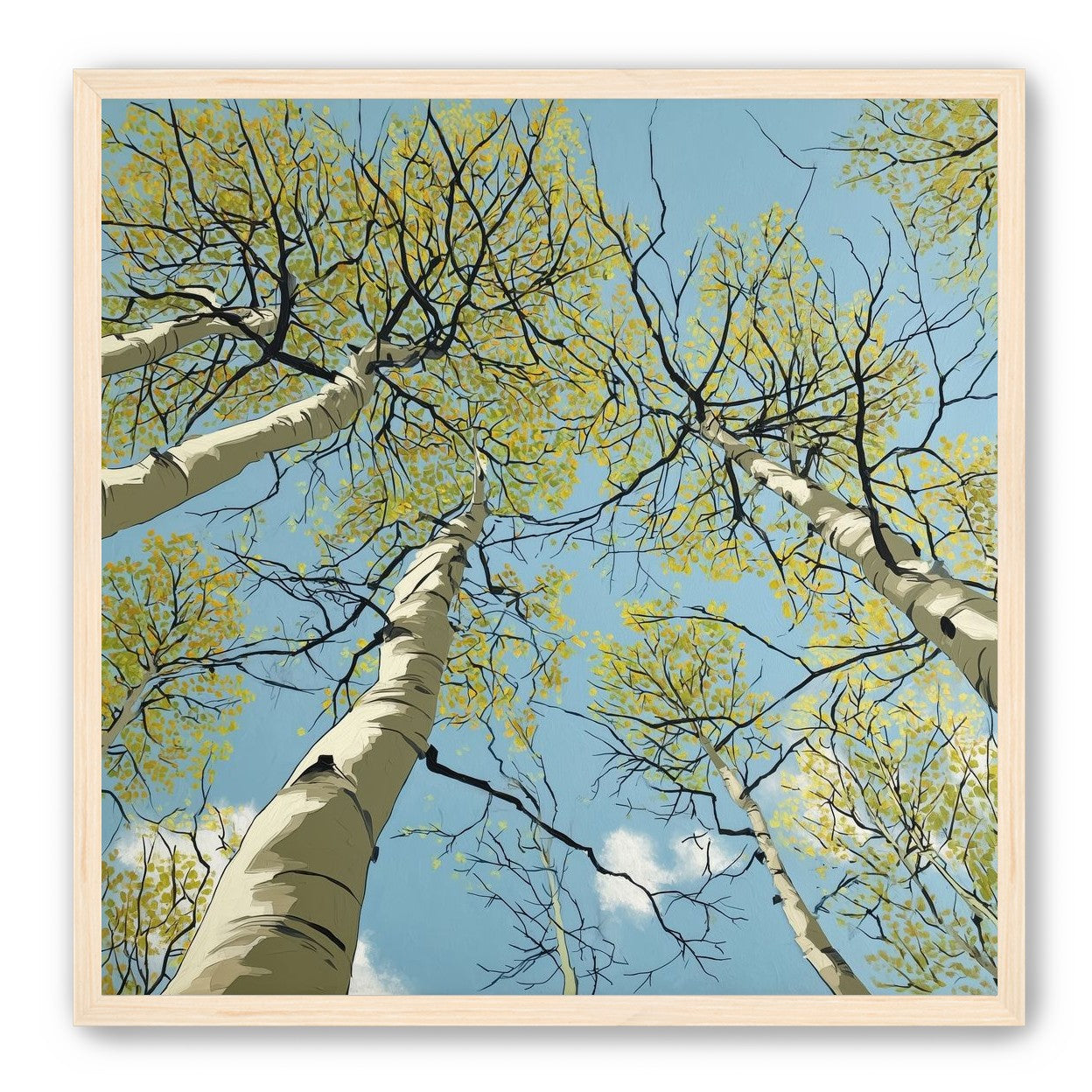 Yellow Leaves Against the Sky