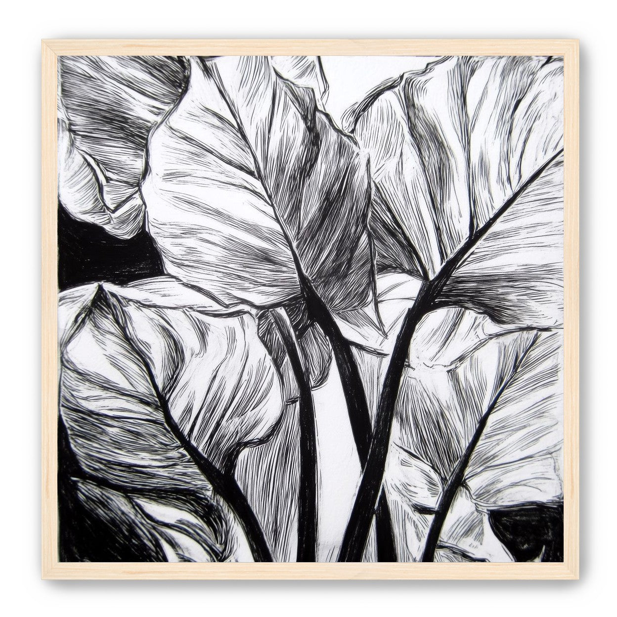 Overlapping Leaves on Dark Ground