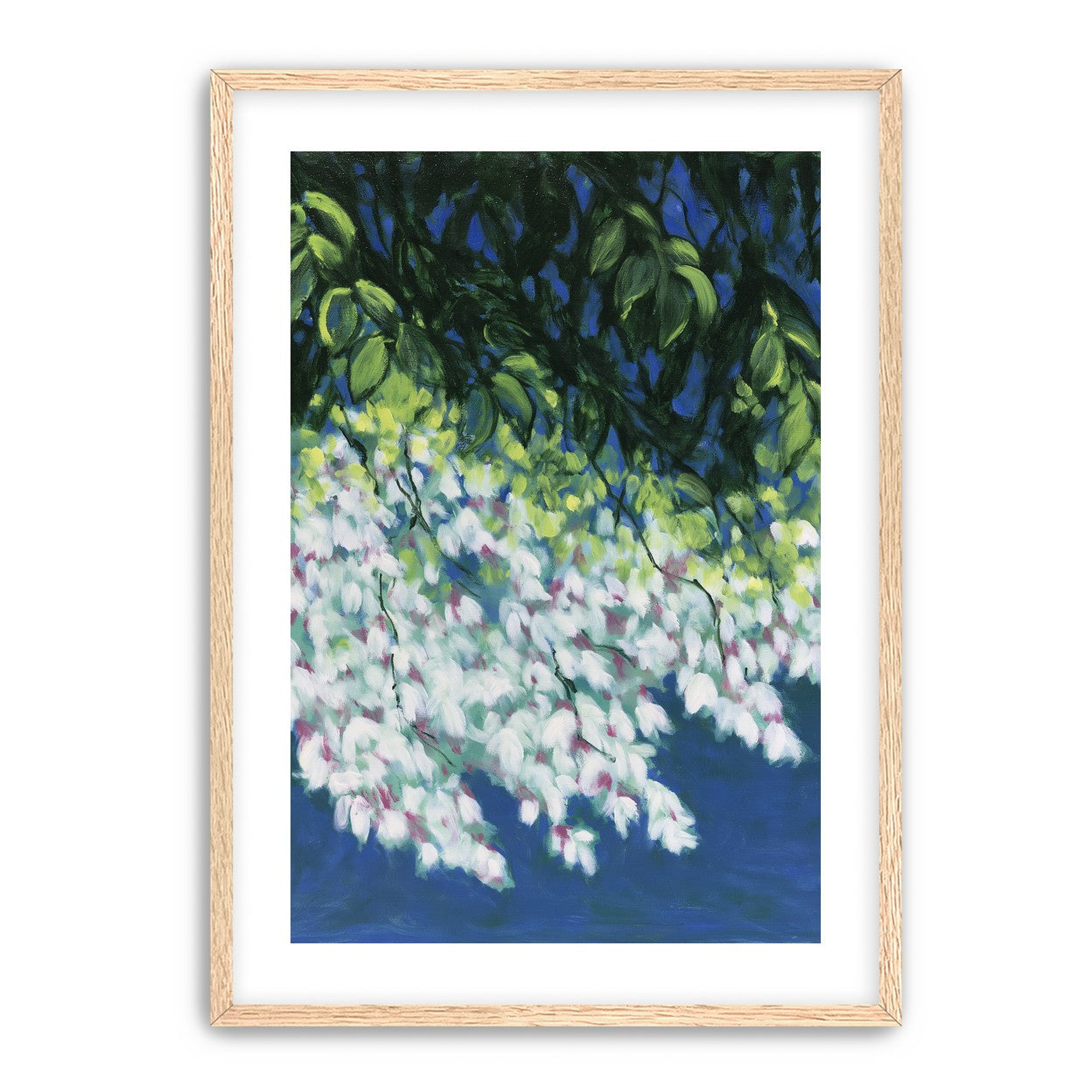 White blossoms in blue shade