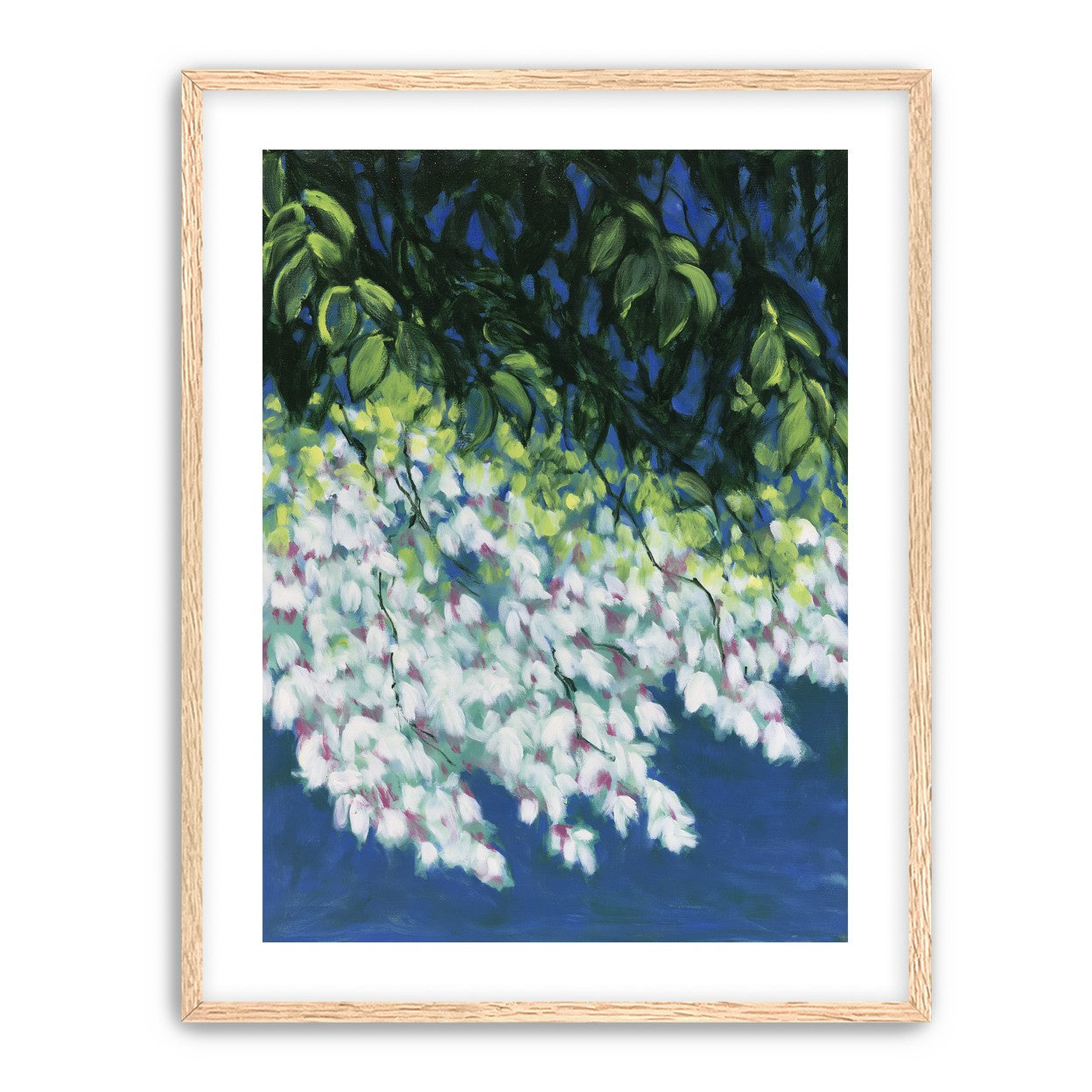 White blossoms in blue shade